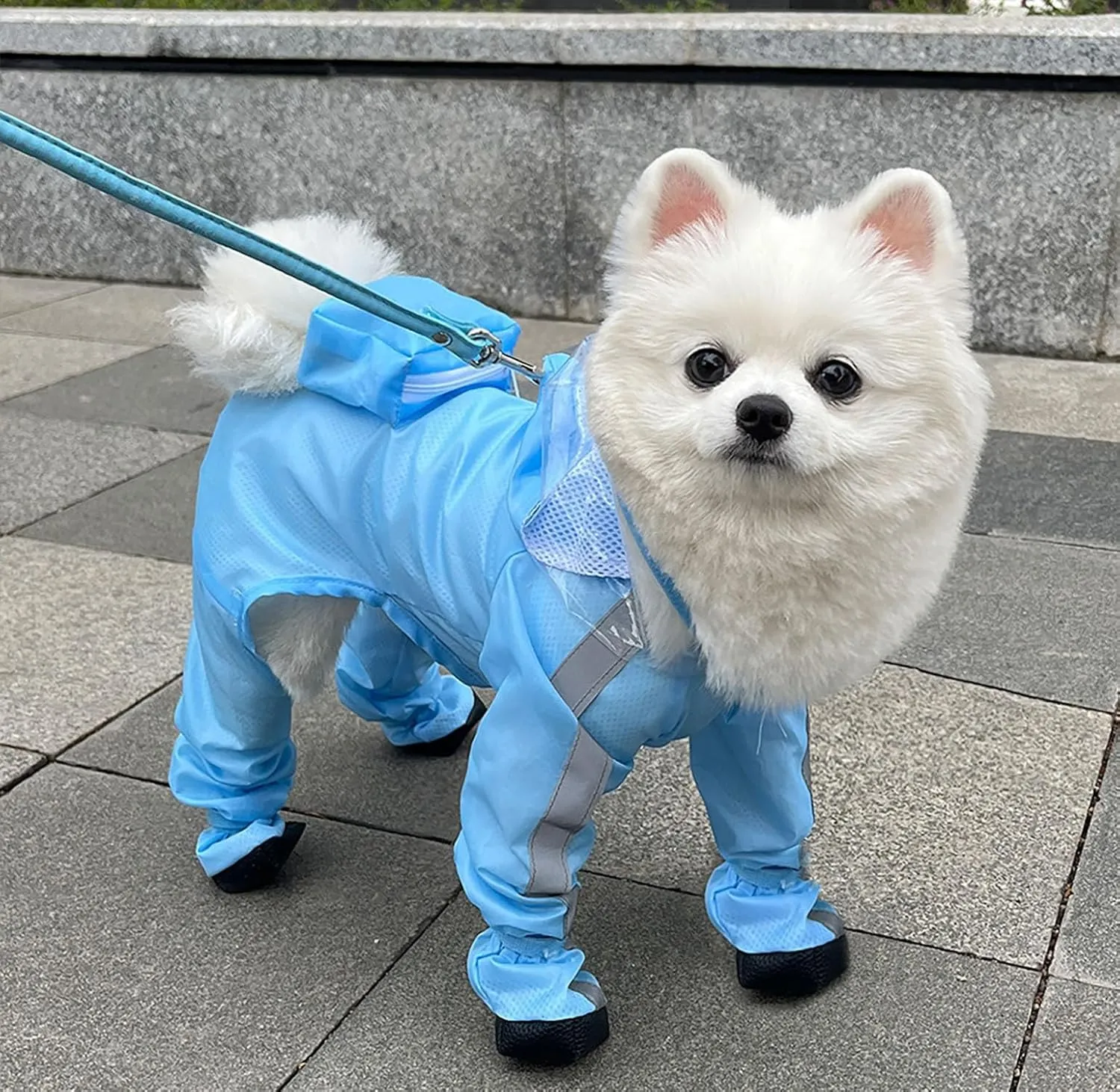 UzeEnde - Impermeabile per cani con cappuccio - Tuta impermeabile a copertura completa per quattro zampe con scarpe, asciugatura rapida, per animali domestici, per cani di taglia piccola, media e - immagine 4