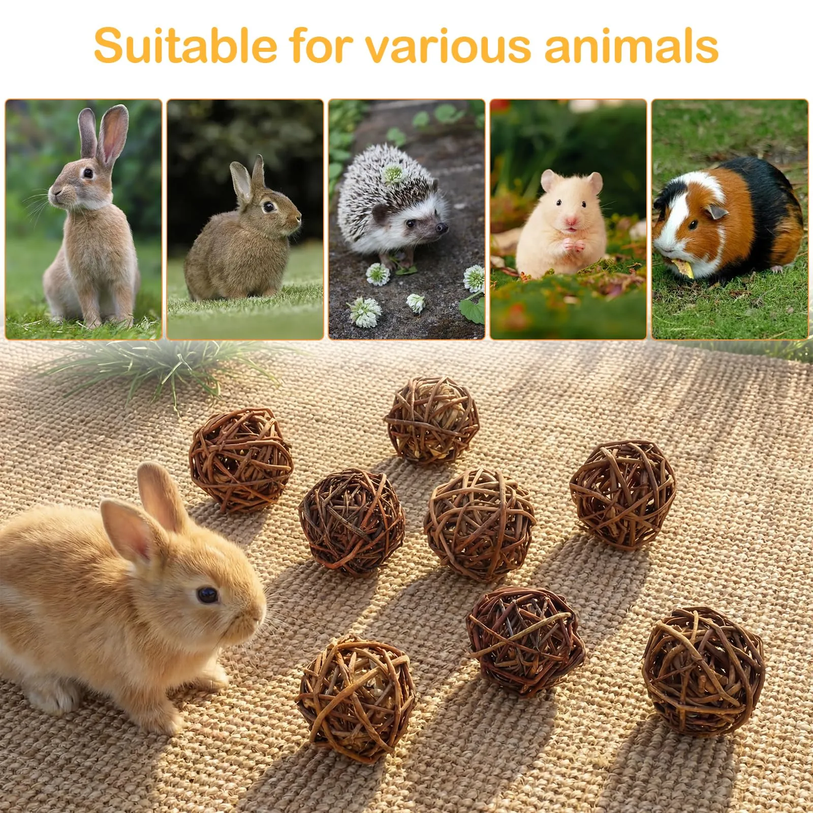 Ervoxo 9 palline da masticare, conigli, criceti, palline da masticare per piccoli animali, criceti, conigli, porcellini d'India, cincillà, gerbilli da corsa (A) - immagine 5
