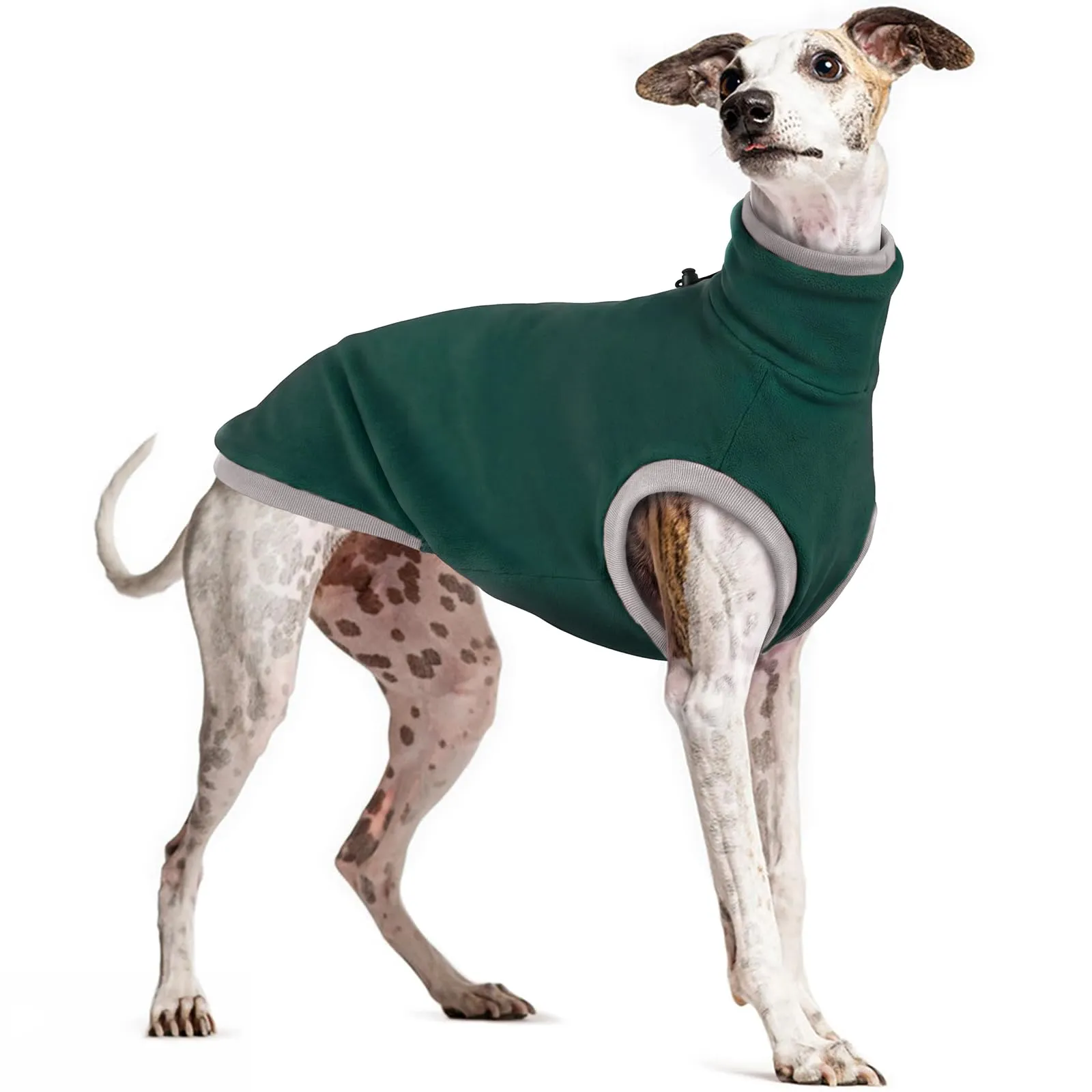 Maglione Whippet in pile, cappotto in pile levriero italiano (verde, S) - immagine 1
