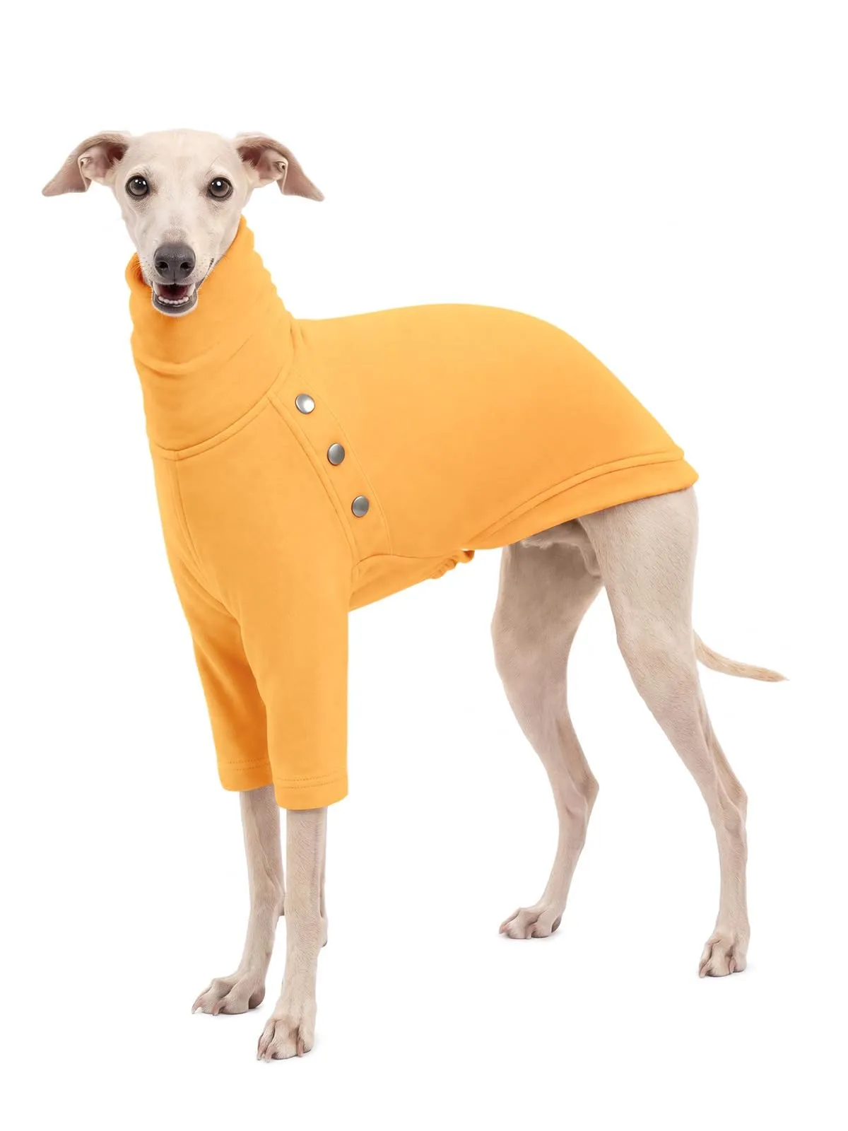 Haloumoning Maglione Cane Invernale a Collo Alto, Giallo, Small - immagine 1
