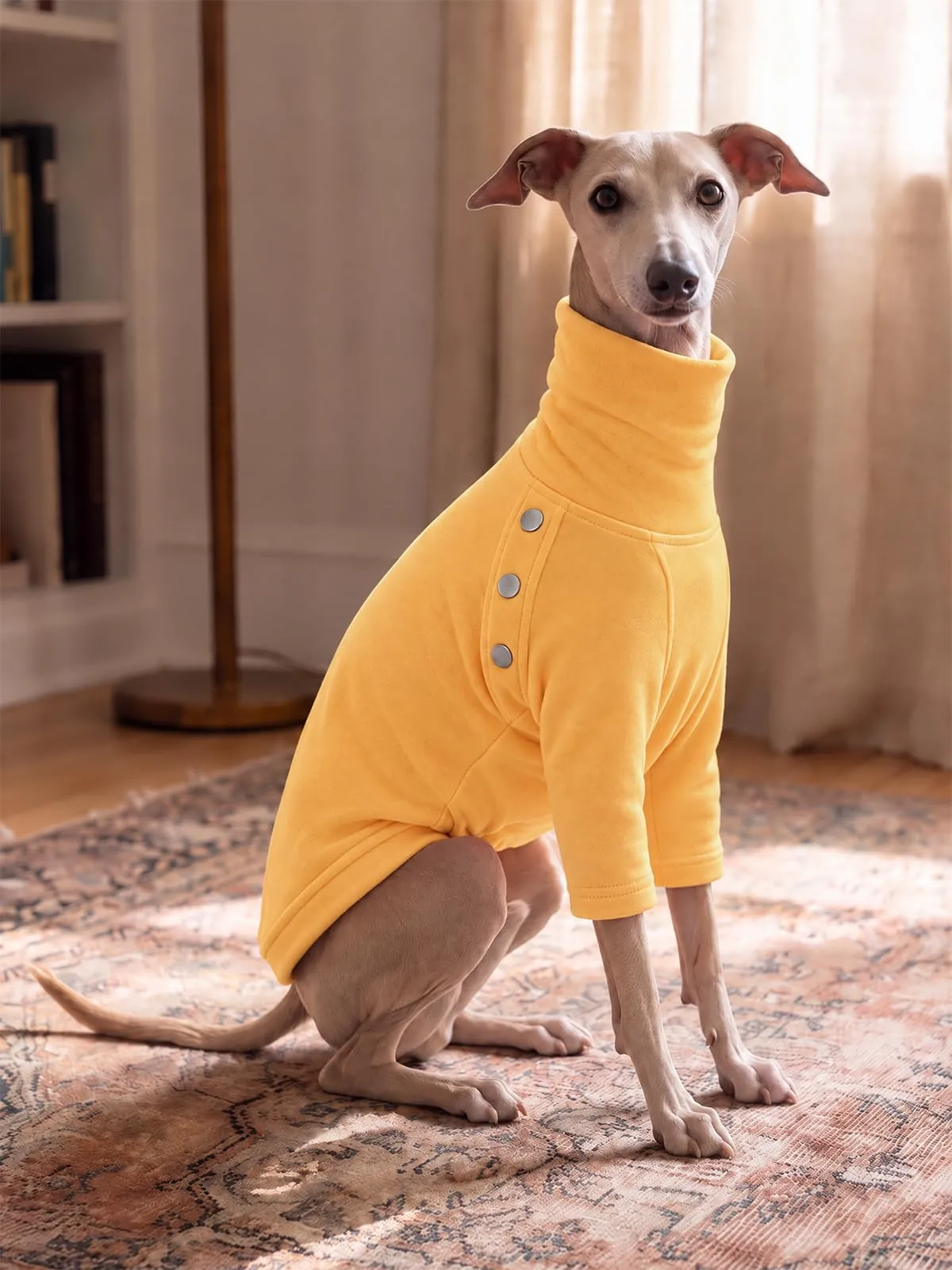 Haloumoning Maglione Cane Invernale a Collo Alto, Giallo, Small - immagine 2