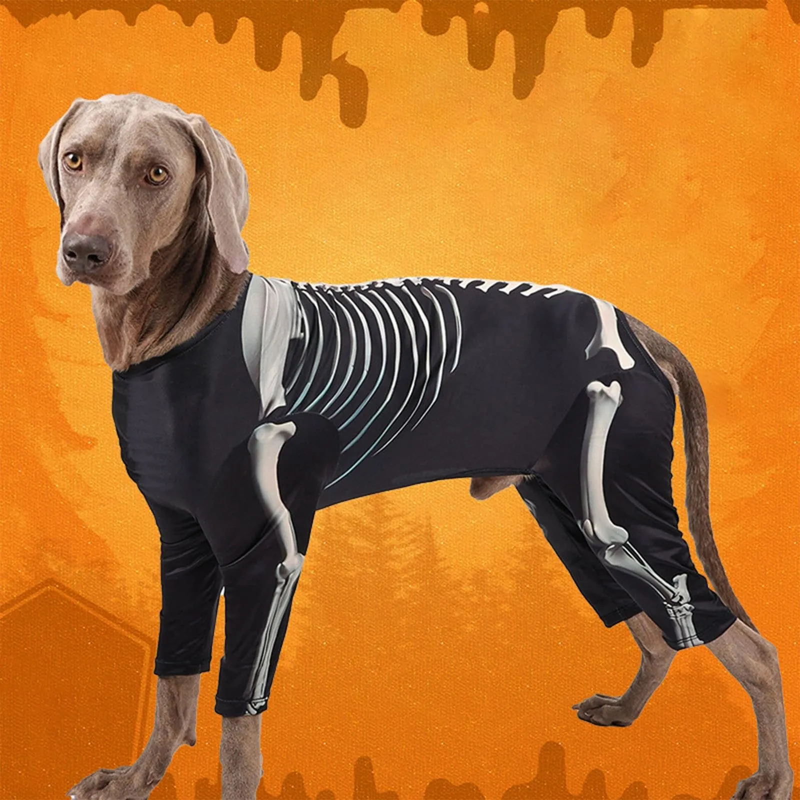 Costume da scheletro nero per cane, vestito a quattro gambe in poliestere - immagine 3