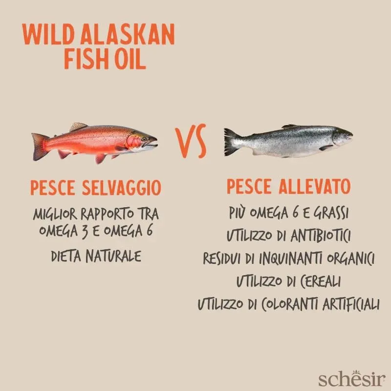 Grizzly Puro olio di salmone selvatico 250 ml, la confezione può variare - immagine 4