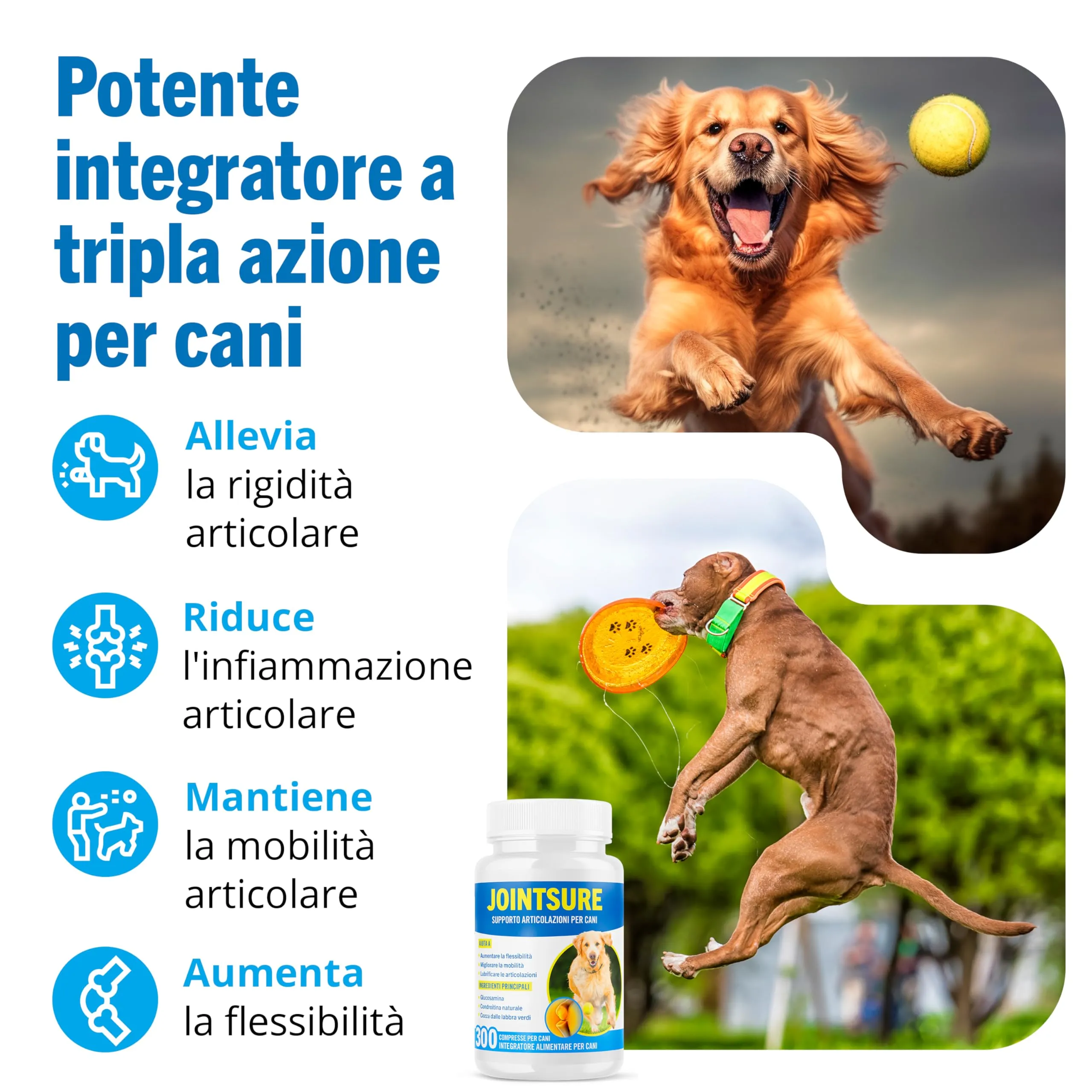 JOINTSURE Integratore per le Articolazioni del Cane 60 Compresse| Supporta la Mobilità e le Articolazioni di Cani Anziani e Adulti | Condoprotettori per Cane con Glucosamina, Condroitina, Cozza Verde - immagine 3
