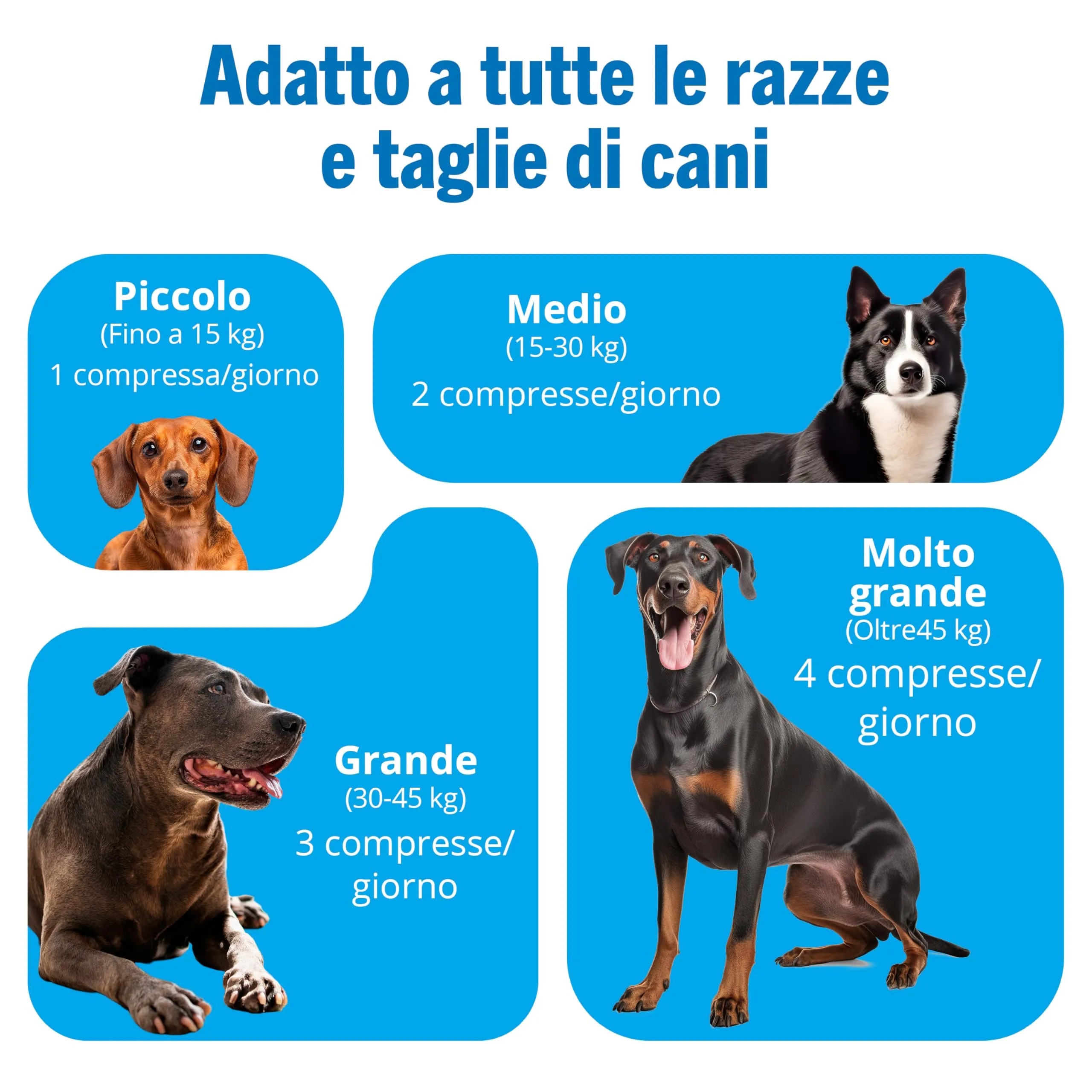 JOINTSURE Integratore per le Articolazioni del Cane 60 Compresse| Supporta la Mobilità e le Articolazioni di Cani Anziani e Adulti | Condoprotettori per Cane con Glucosamina, Condroitina, Cozza Verde - immagine 7