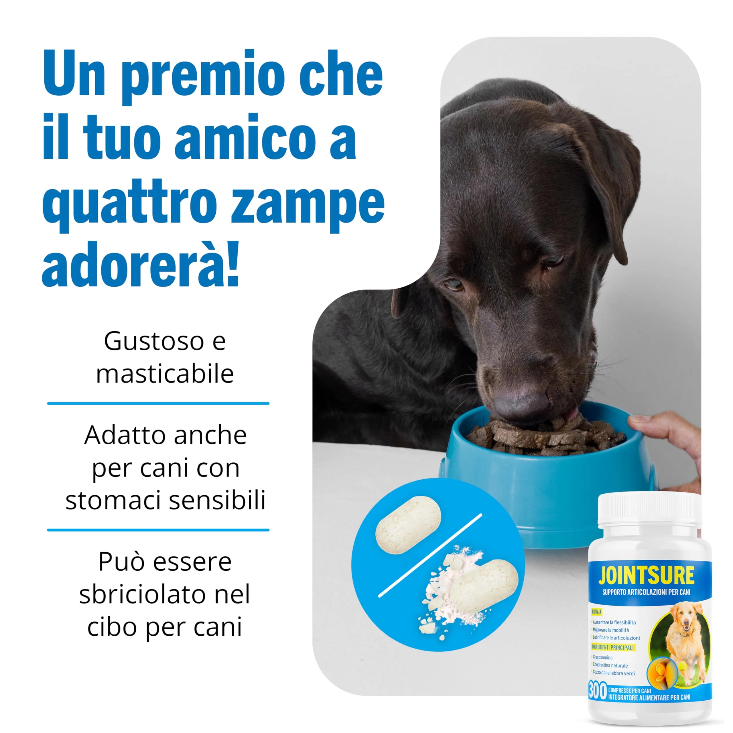 JOINTSURE Integratore per le Articolazioni del Cane 60 Compresse| Supporta la Mobilità e le Articolazioni di Cani Anziani e Adulti | Condoprotettori per Cane con Glucosamina, Condroitina, Cozza Verde - immagine 8