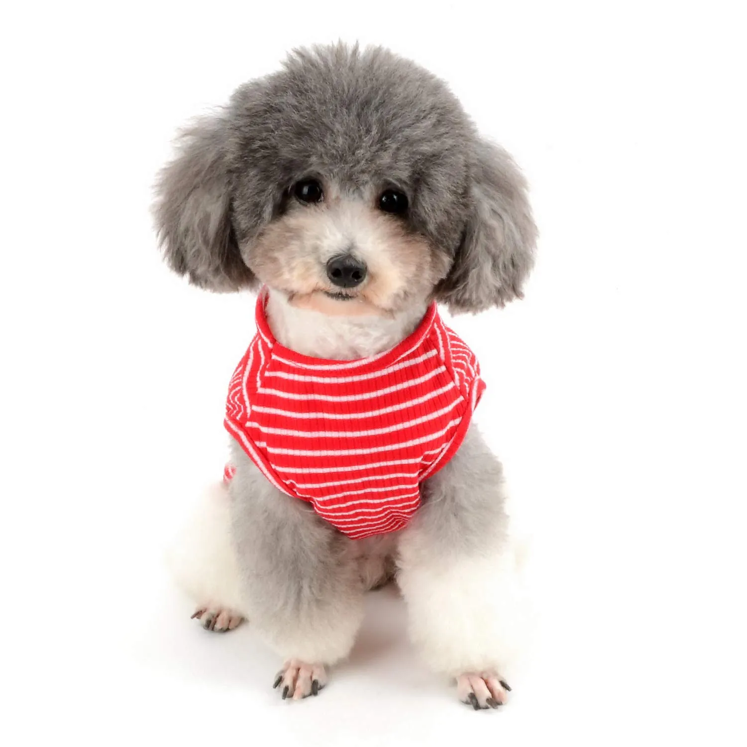 Zunea Maglietta per Cani Piccola Taglia Estate Cuccioli Canottiera in Morbido Cotone Canottiera a Righe Fresco Abbigliamento per Gatti Chihuahua e Animali Domestici Rosso XL - immagine 6