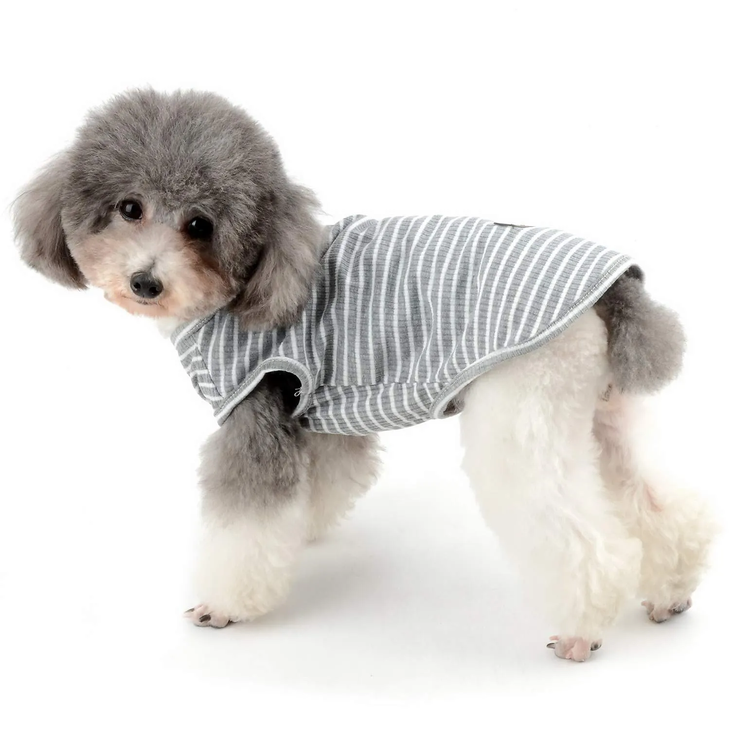 Zunea Maglietta per Cani Piccola Taglia Estate Cuccioli Canottiera in Morbido Cotone Canottiera a Righe Fresco Abbigliamento per Gatti Chihuahua e Animali Domestici Grigio XL - immagine 2