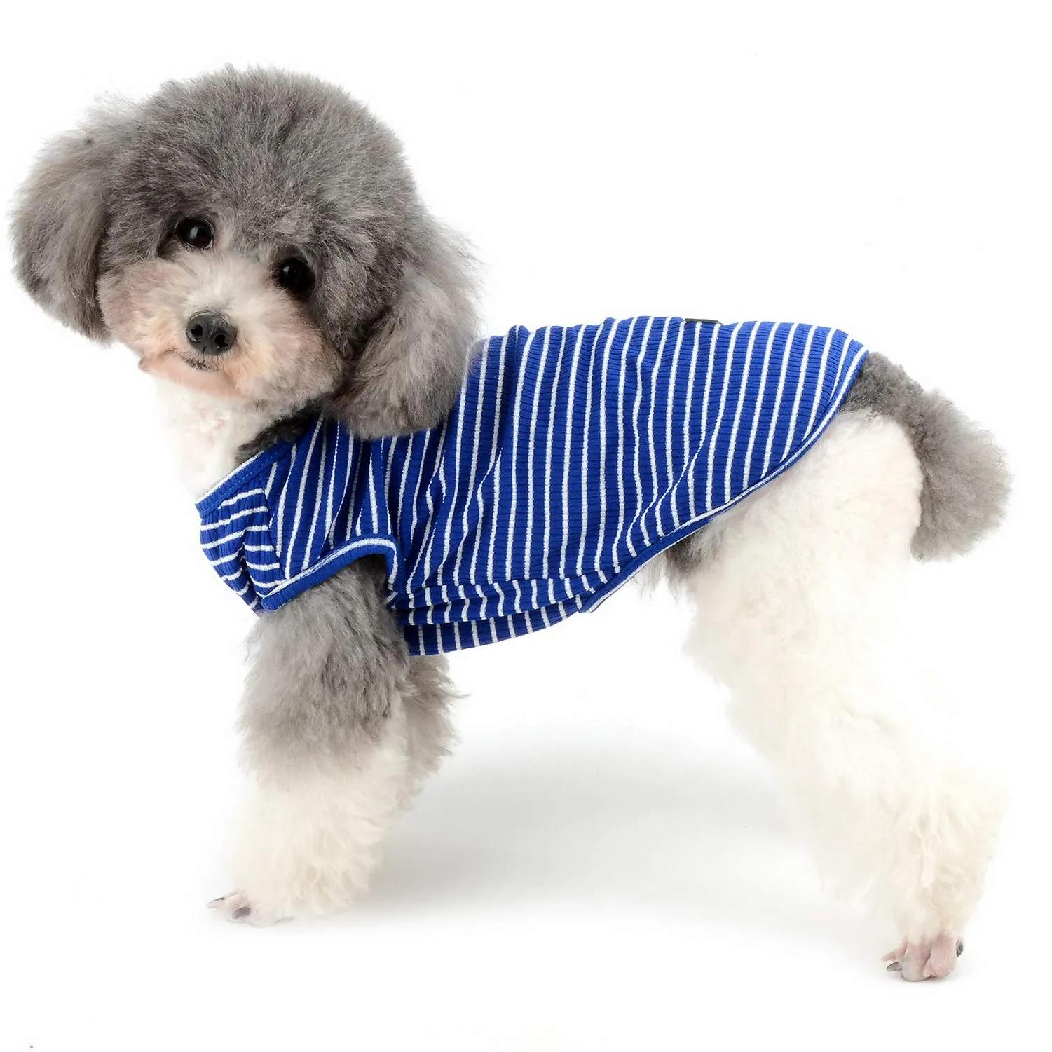 Zunea Maglietta per Cani Piccola Taglia Estate Cuccioli Canottiera in Morbido Cotone Canottiera a Righe Fresco Abbigliamento per Gatti Chihuahua e Animali Domestici Blu M - immagine 2