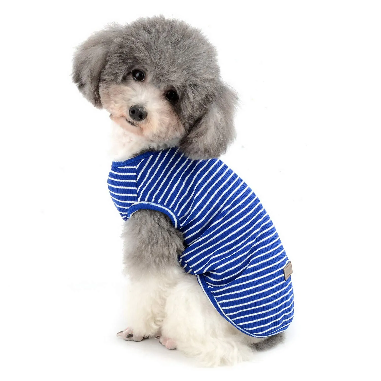 Zunea Maglietta per Cani Piccola Taglia Estate Cuccioli Canottiera in Morbido Cotone Canottiera a Righe Fresco Abbigliamento per Gatti Chihuahua e Animali Domestici Blu S - immagine 1