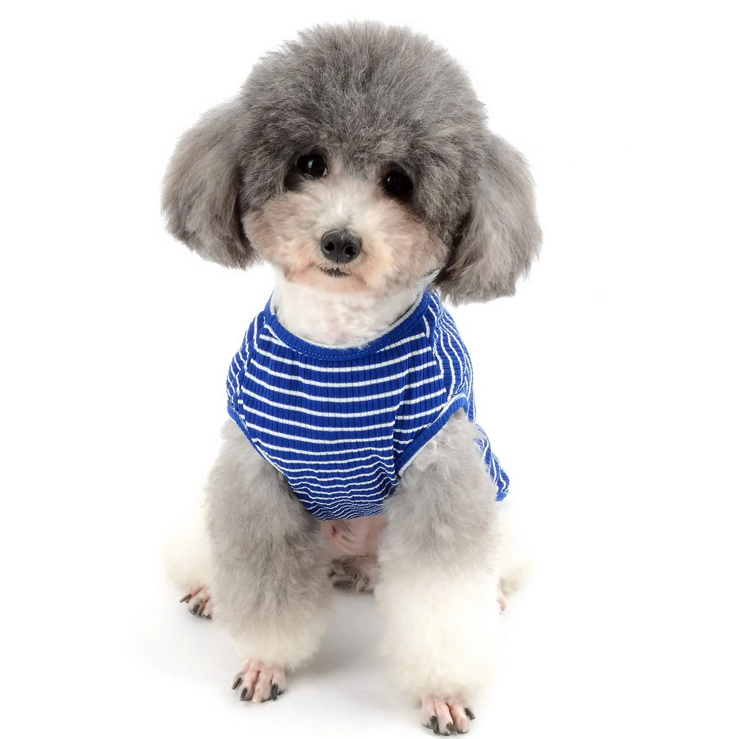 Zunea Maglietta per Cani Piccola Taglia Estate Cuccioli Canottiera in Morbido Cotone Canottiera a Righe Fresco Abbigliamento per Gatti Chihuahua e Animali Domestici Blu XXL - immagine 6