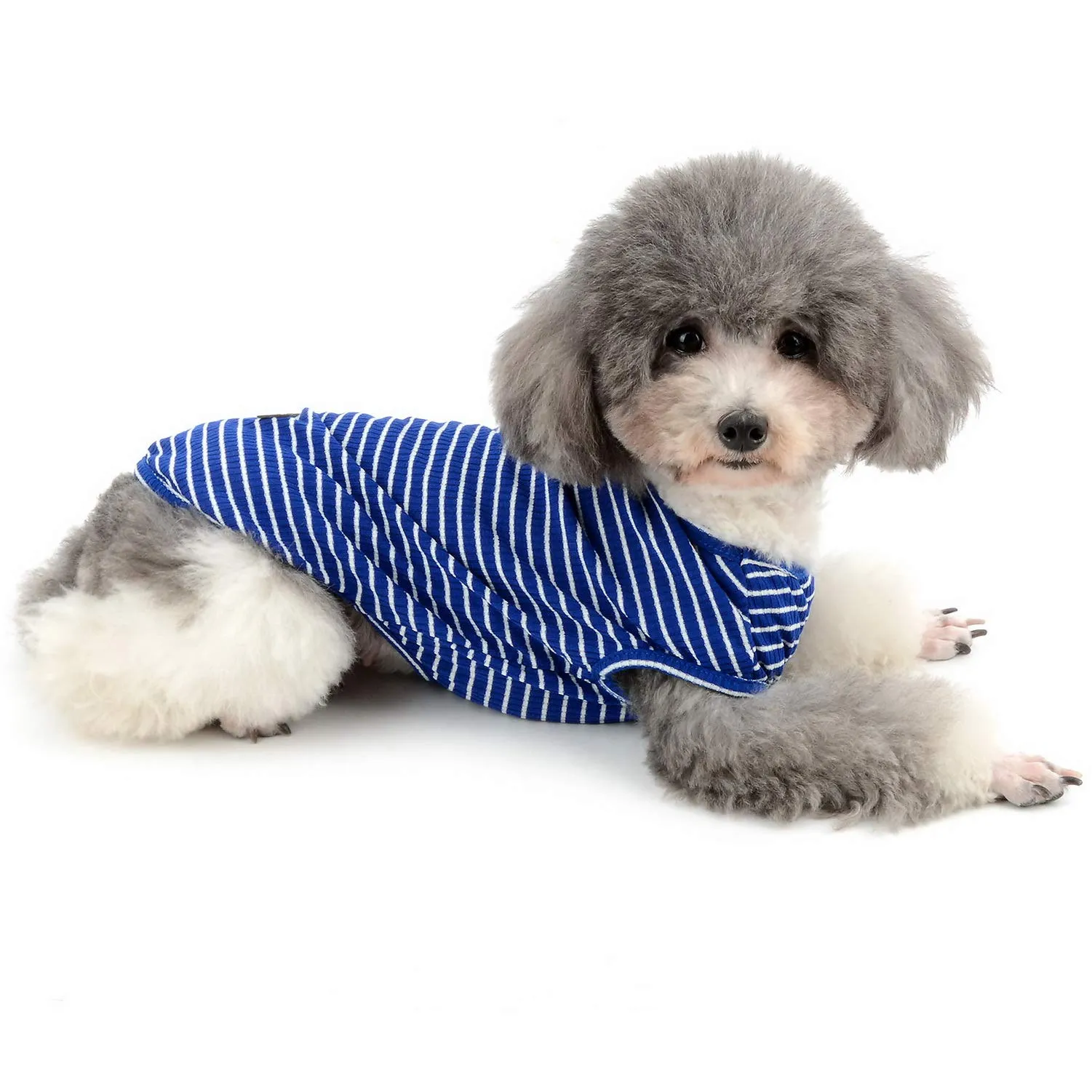 Zunea Maglietta per Cani Piccola Taglia Estate Cuccioli Canottiera in Morbido Cotone Canottiera a Righe Fresco Abbigliamento per Gatti Chihuahua e Animali Domestici Blu L - immagine 8