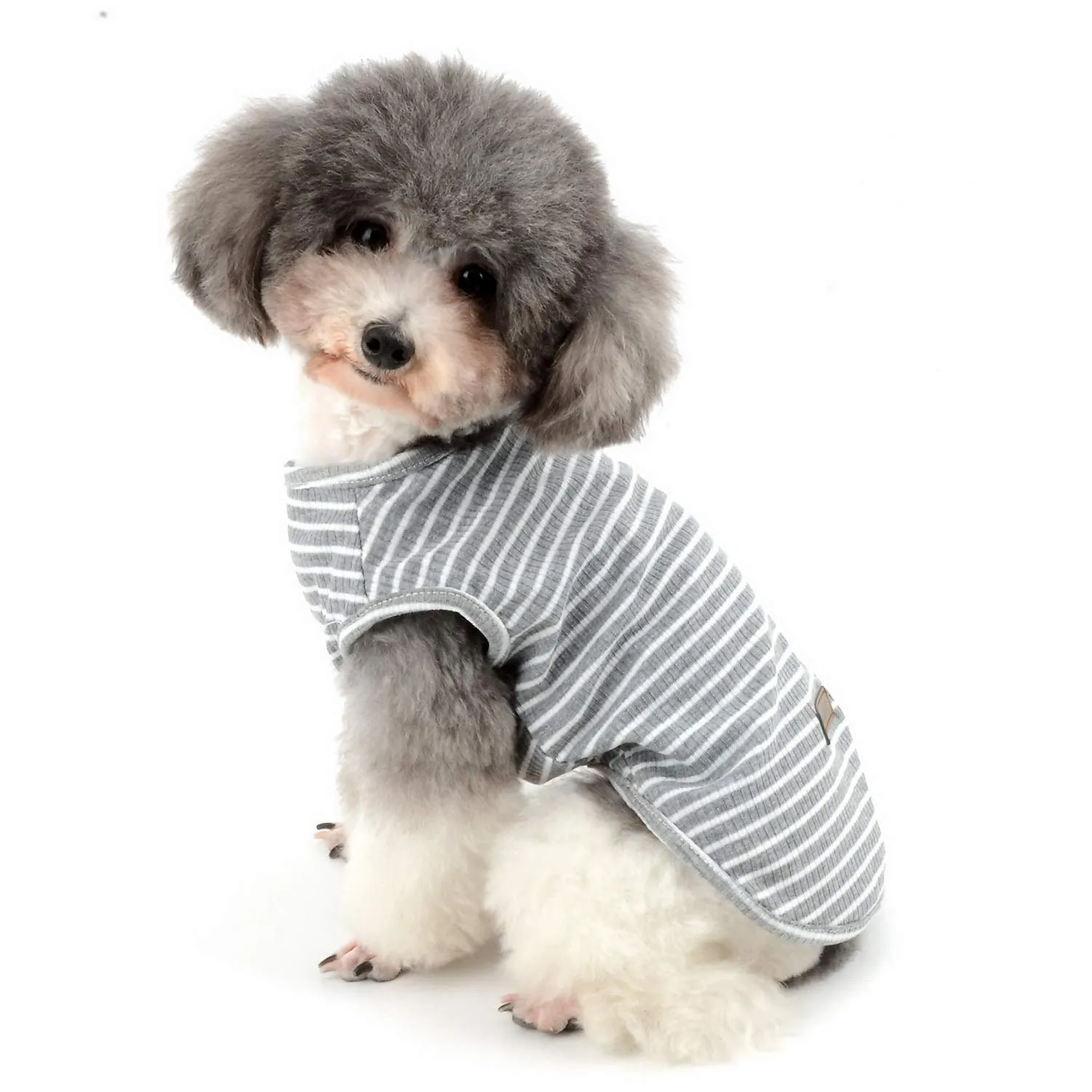 Zunea Maglietta per Cani Piccola Taglia Estate Cuccioli Canottiera in Morbido Cotone Canottiera a Righe Fresco Abbigliamento per Gatti Chihuahua e Animali Domestici Grigio M - immagine 1