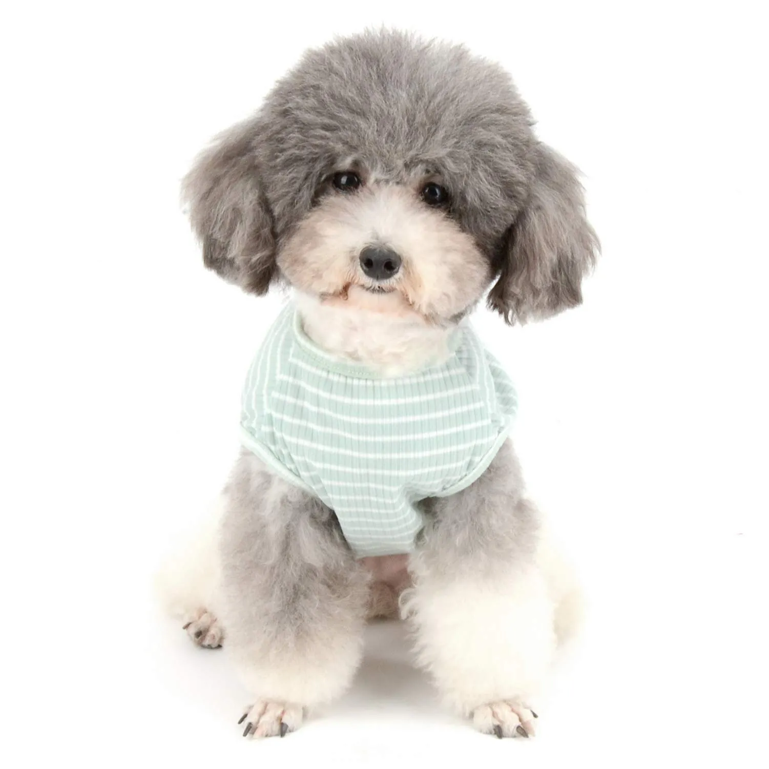 Zunea Maglietta per Cani Piccola Taglia Estate Cuccioli Canottiera in Morbido Cotone Canottiera a Righe Fresco Abbigliamento per Gatti Chihuahua e Animali Domestici Verde M - immagine 6