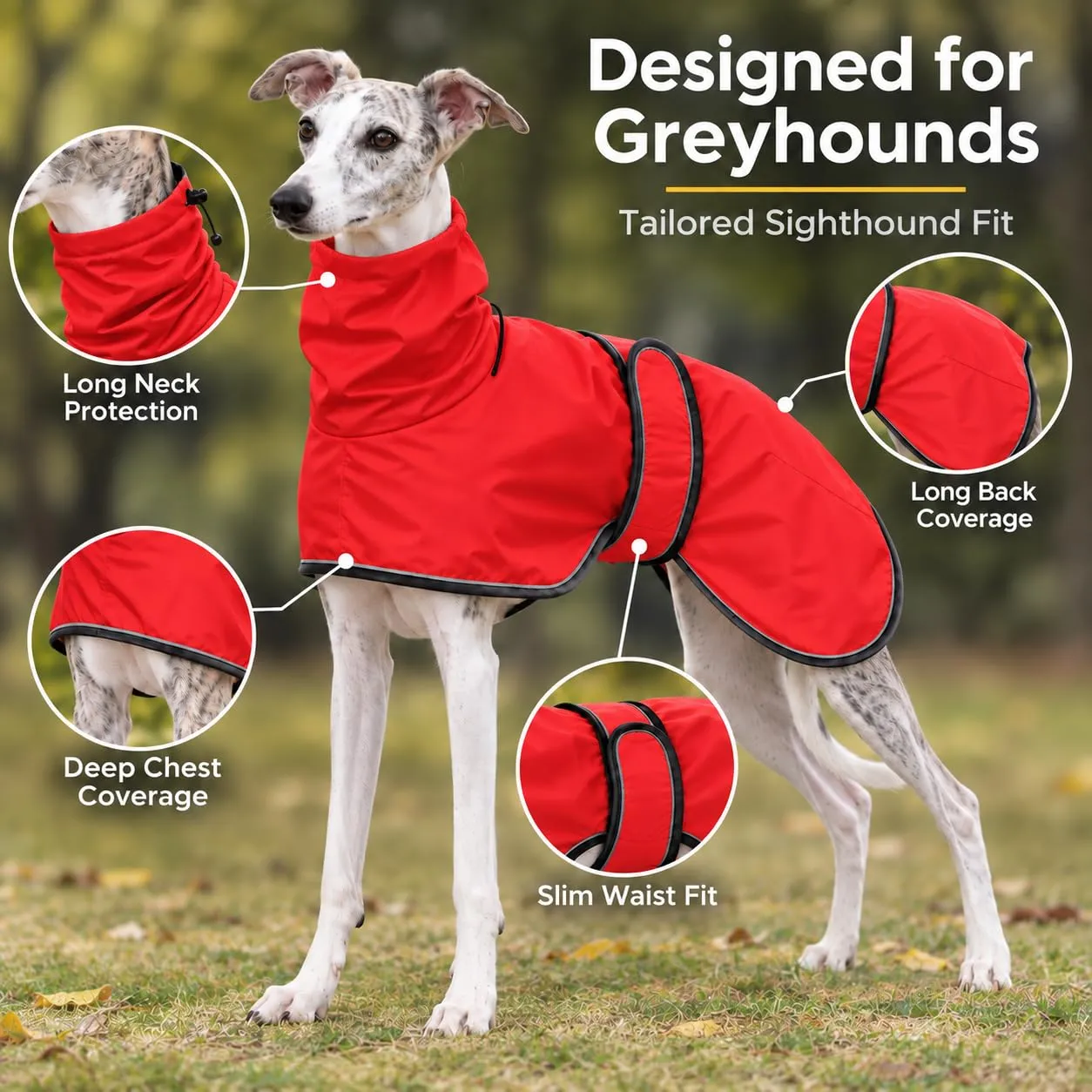 MOREZI Impermeabile Greyhound, giacca impermeabile per cani, foro per il collo e cintura regolabile, adatto a cani di taglia media e grande-Rosso-L - immagine 2