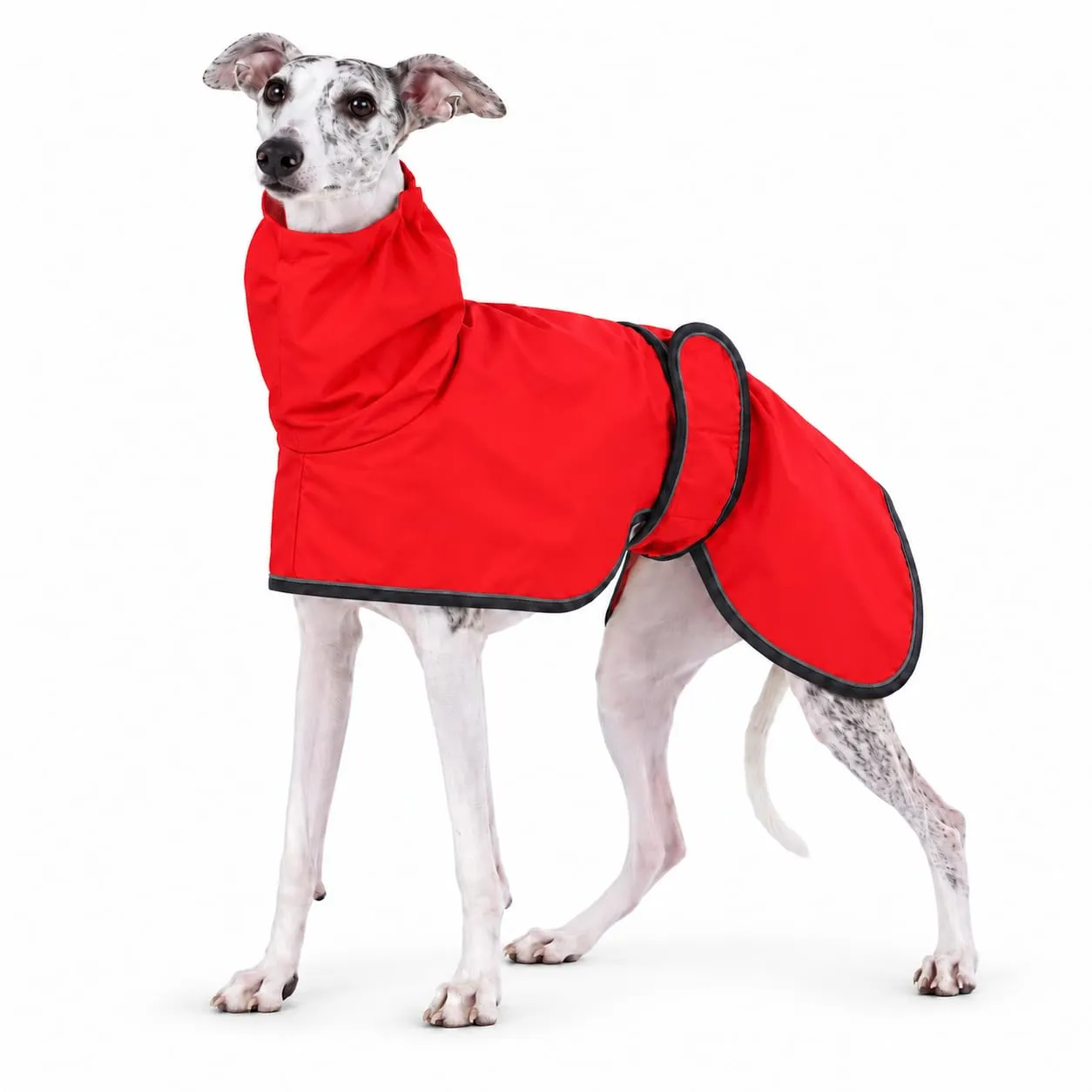 MOREZI Impermeabile Greyhound, giacca impermeabile per cani, foro per il collo e cintura regolabile, adatto a cani di taglia media e grande-Rosso-M - immagine 1