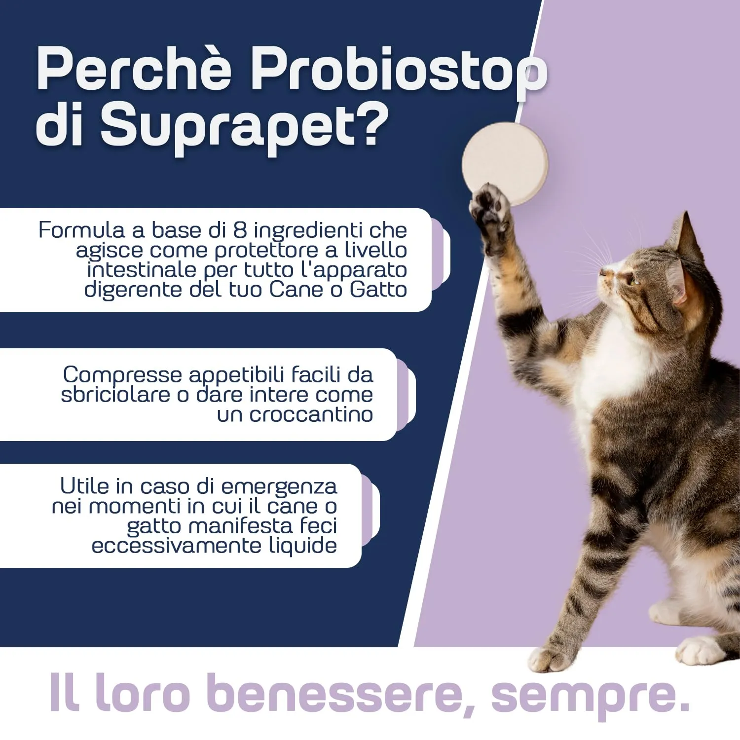 Suprapet Probiostop Probiotici Cane e Gatto 30 compresse - Contrasta la Diarrea ed i Disturbi della Digestione - Supporto per Flora Batterica dell'Intestino - immagine 3