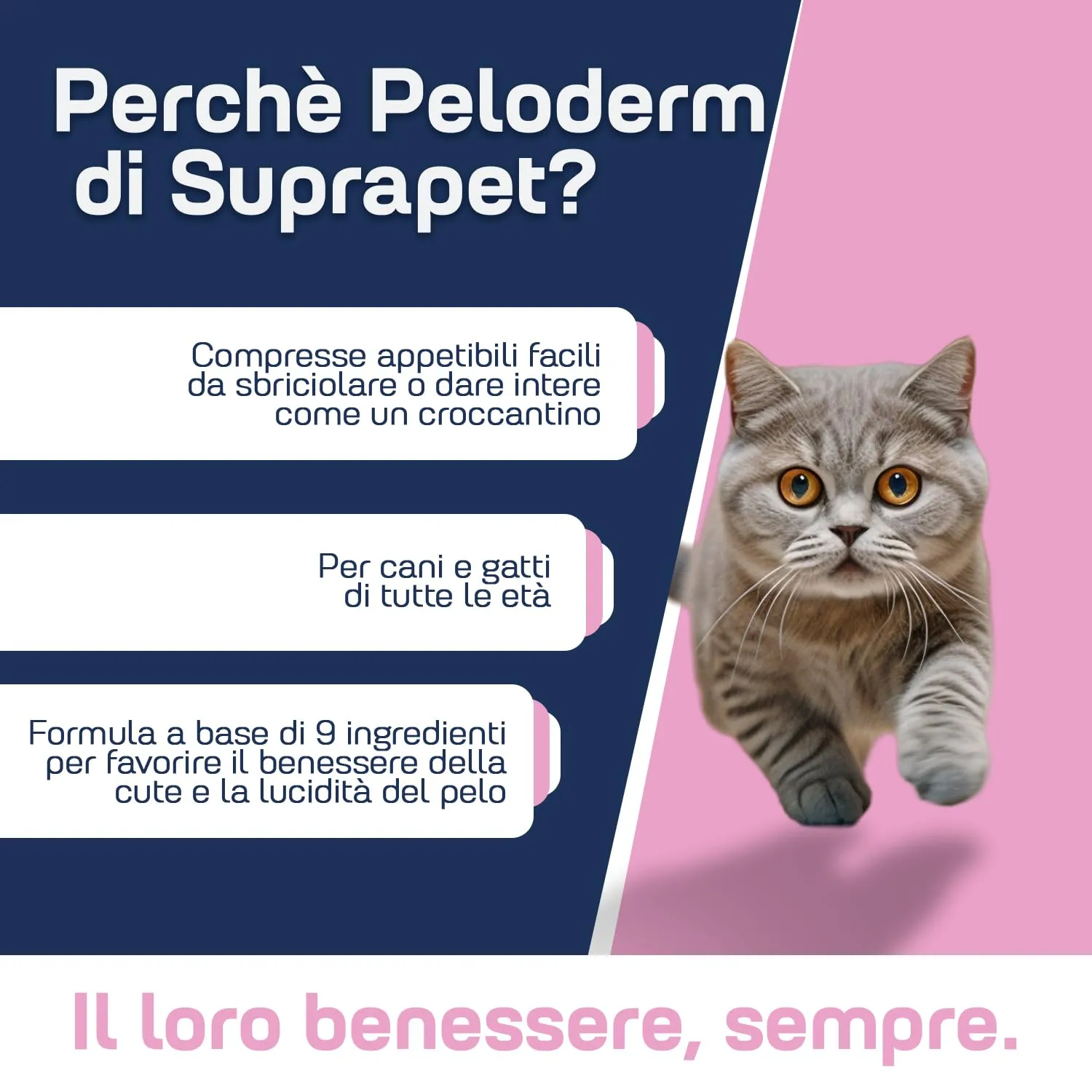 Suprapet Peloderm per Cane e Gatto 30 compresse a base di Biotina, Zinco, Vitamine B, Metionina e Cistina per il Benessere e la lucentezza del Pelo | Mangime Complementare - immagine 4