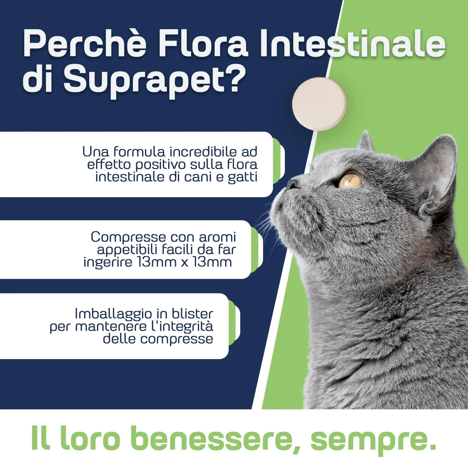 Suprapet Flora Intestinale Cani e Gatti 30 compresse - Fino a 2 Mesi di Fornitura, Con Fermenti Lattici, Probiotici, Vitamina C - Per Intestino e Flora Batterica - immagine 3