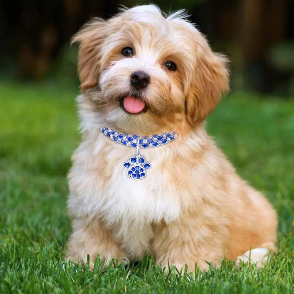 RayMinsino Collare per animali domestici con diamanti, diamante regolabile in cristallo, elastico, per gatti e cani, piccola collana per animali domestici - immagine 2
