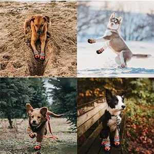 NeuWee Scarpe per Cani, 4 Pezzi scarpe per cani impermeabili con cinturini riflettenti, Suola antiscivolo Protezioni per zampe Stivali per Cani per cani di taglia piccola e media (L, Blu) - immagine 8