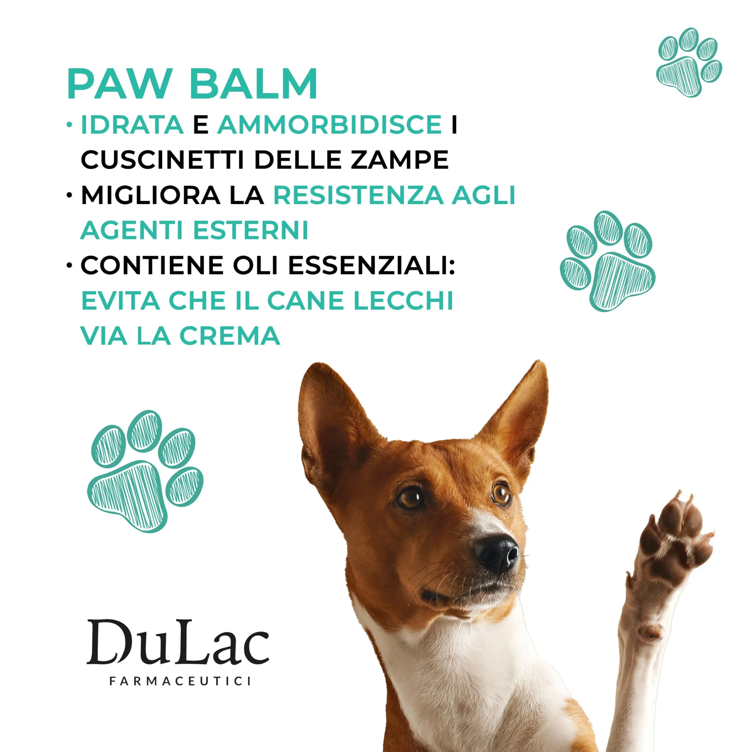 Dulac - Crema Polpastrelli Cane Idratante, Cuscinetti, 50 ml - immagine 3