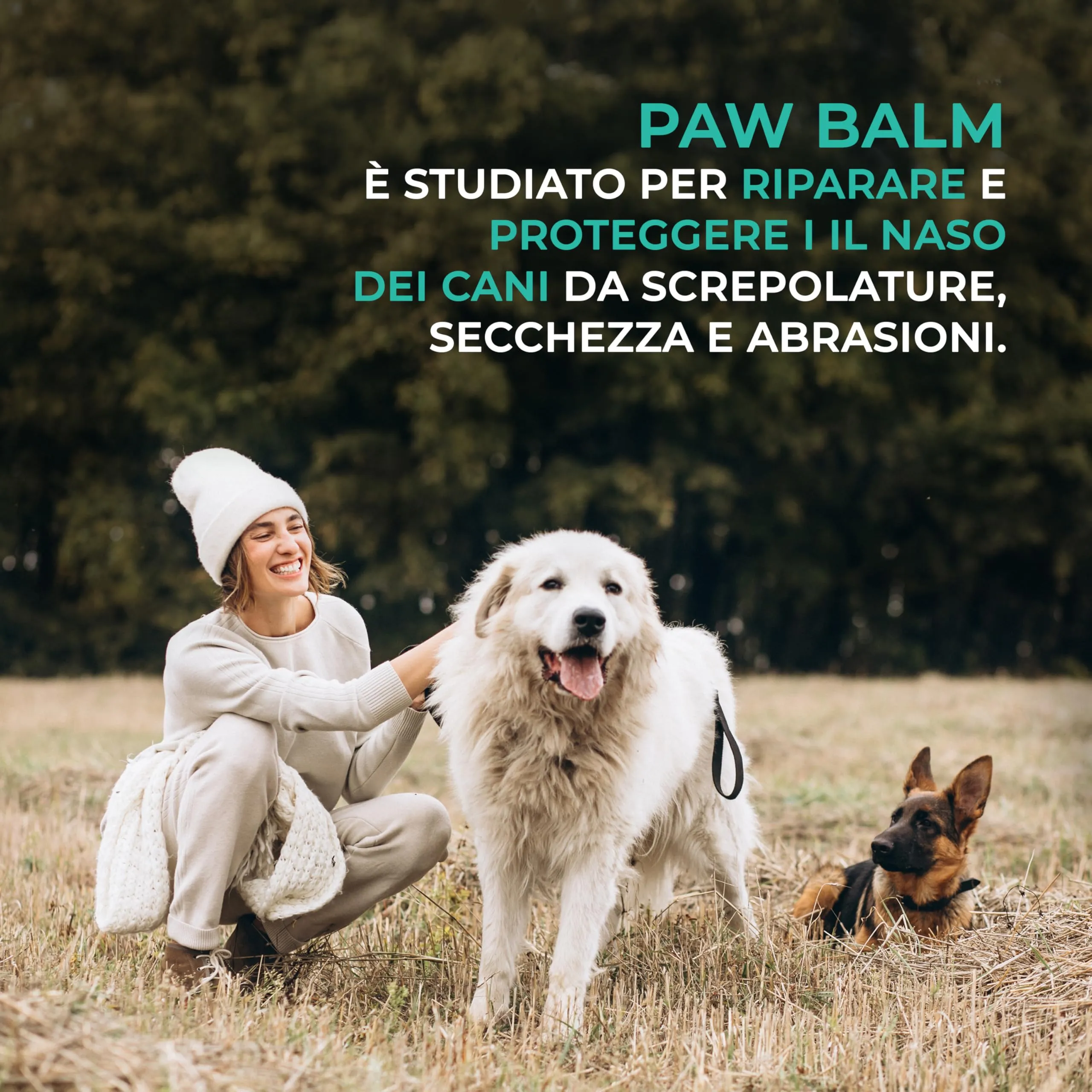 Dulac - Crema Polpastrelli Cane Idratante, Cuscinetti, 50 ml - immagine 6