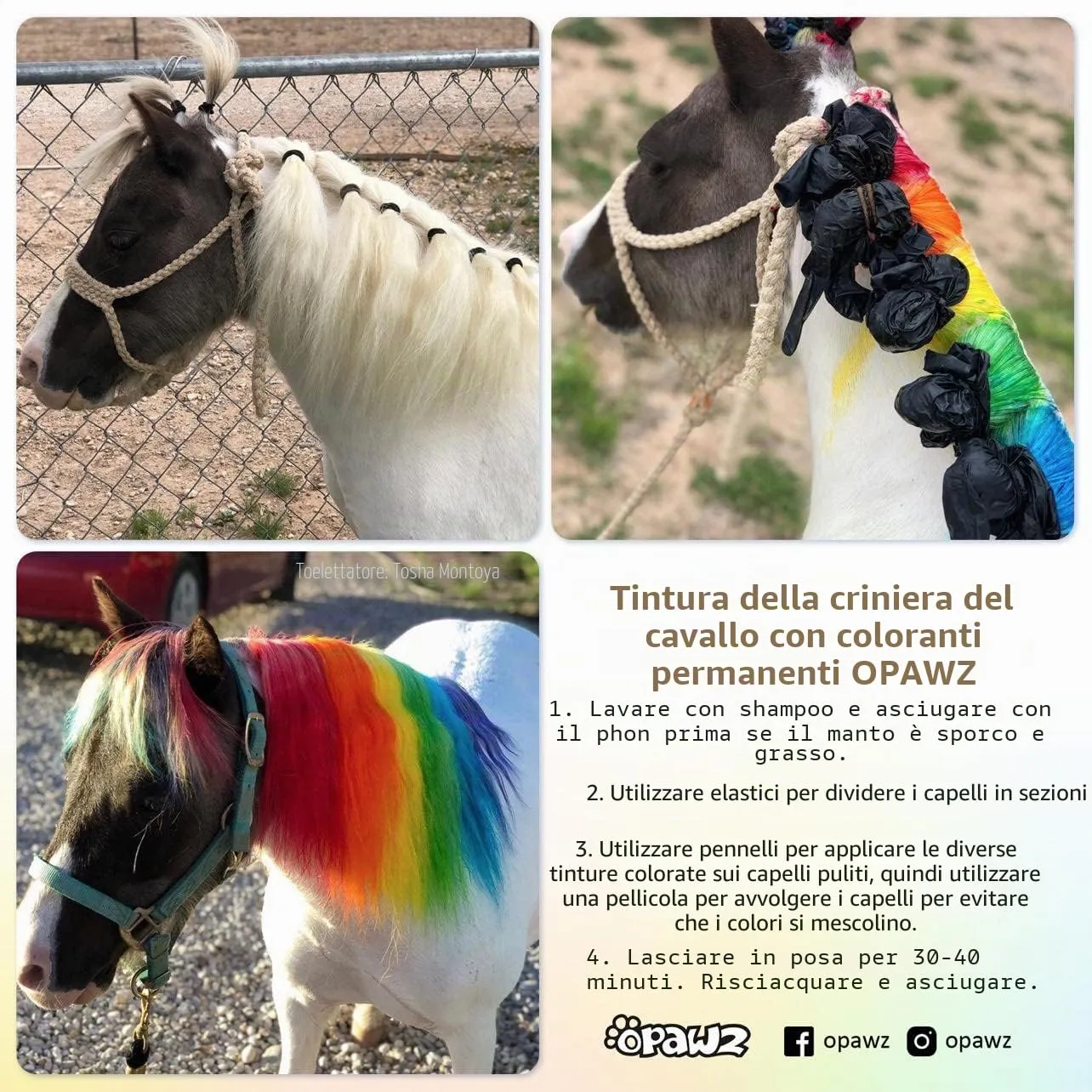Opawz Permanente Tintura per Cani, Saloni Utilizzata Sicuro per Un Decennio Colorante per Cani, Tintura per Animali Dura Oltre 20 Lavaggi per Cani e Cavalli (Cobalto Blu) - immagine 4