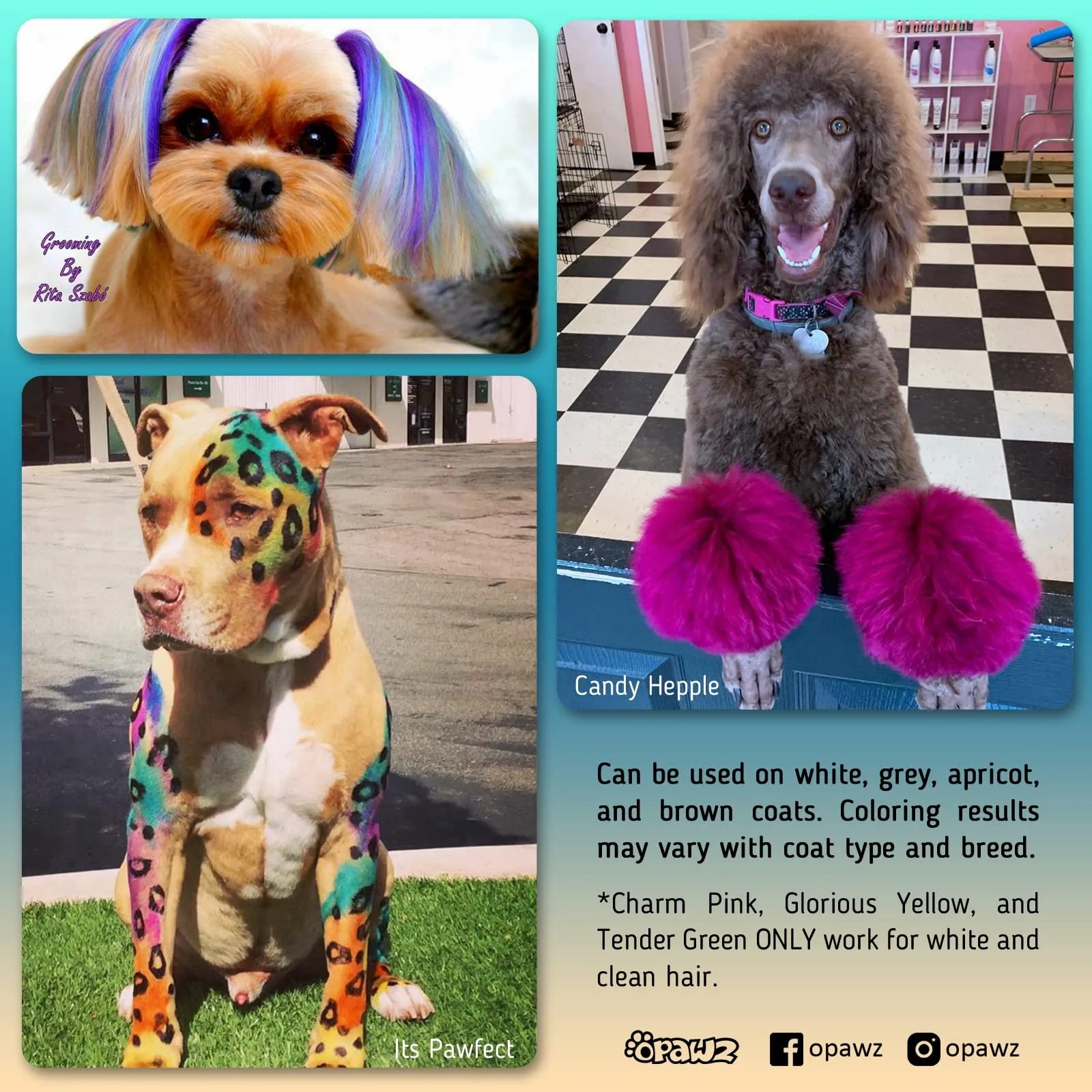 Opawz Permanente Tintura per Cani, Saloni Utilizzata Sicuro per Un Decennio Colorante per Cani, Tintura per Animali Dura Oltre 20 Lavaggi per Cani e Cavalli (Ardente Arancione) - immagine 2
