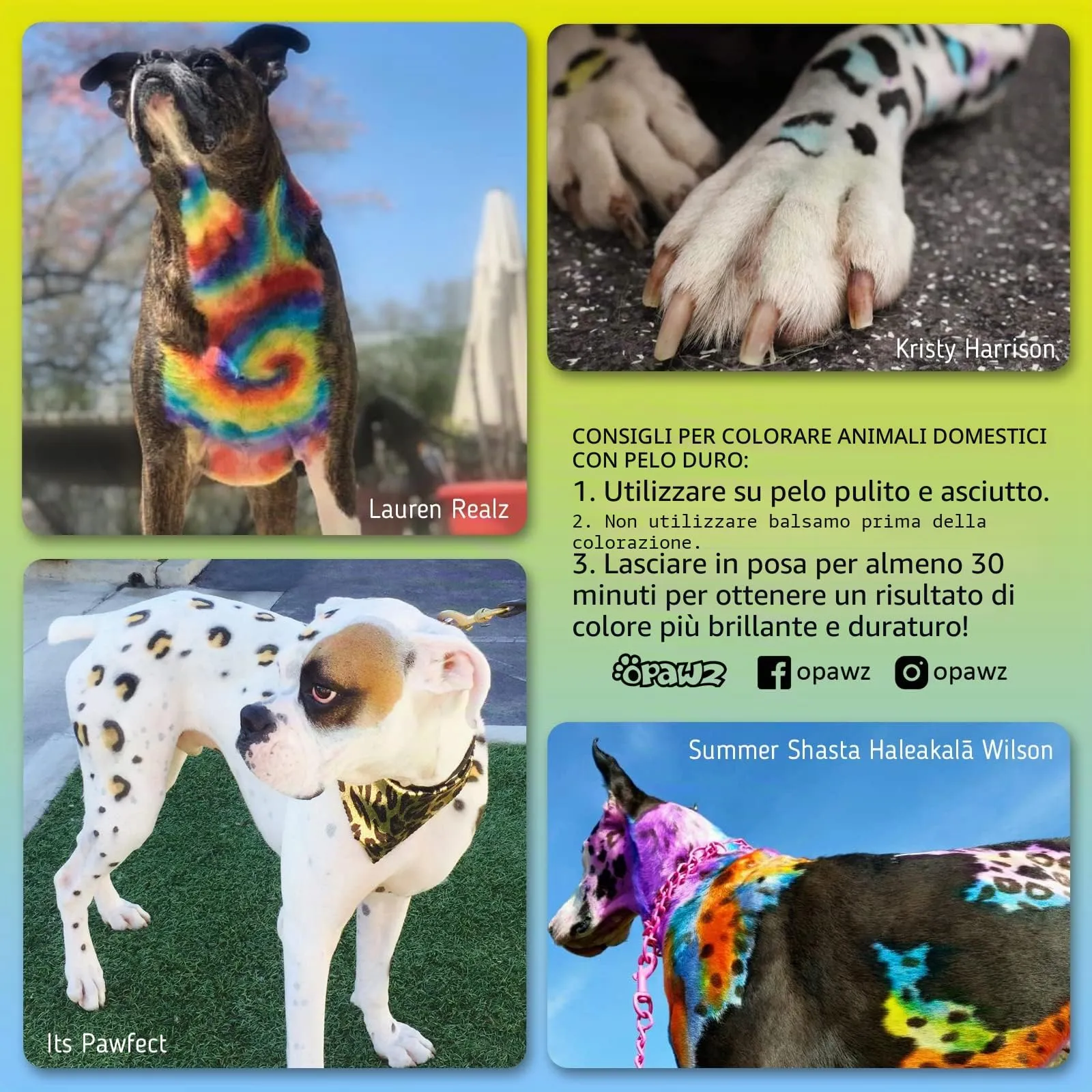 Opawz Permanente Tintura per Cani, Saloni Utilizzata Sicuro per Un Decennio Colorante per Cani, Tintura per Animali Dura Oltre 20 Lavaggi per Cani e Cavalli (Innocente Blu) - immagine 5