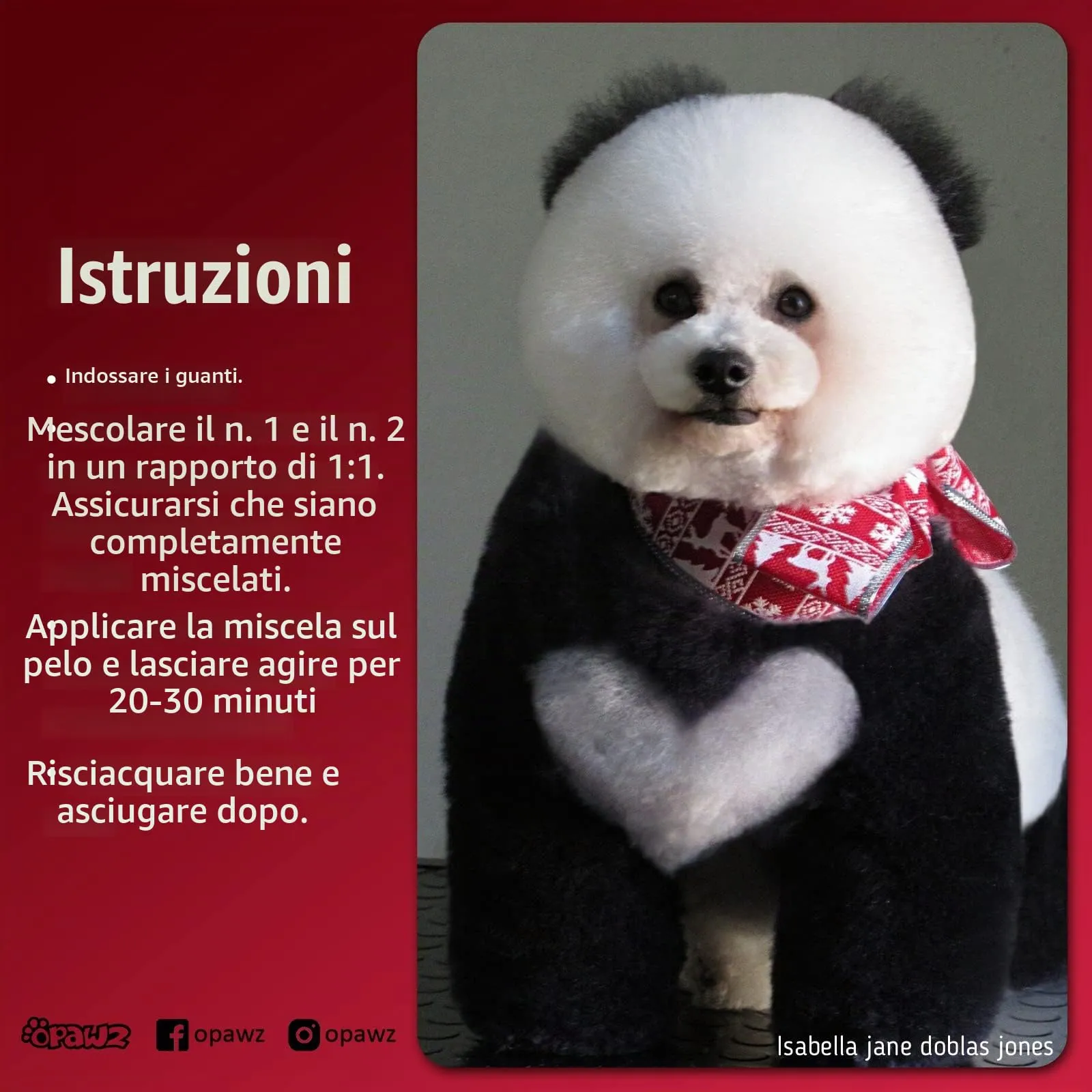 Opawz Permanente Tintura per Cani, Saloni Utilizzata Sicuro per Un Decennio Colorante per Cani, Tintura per Animali Dura Oltre 20 Lavaggi per Cani e Cavalli (Super Nero) - immagine 2