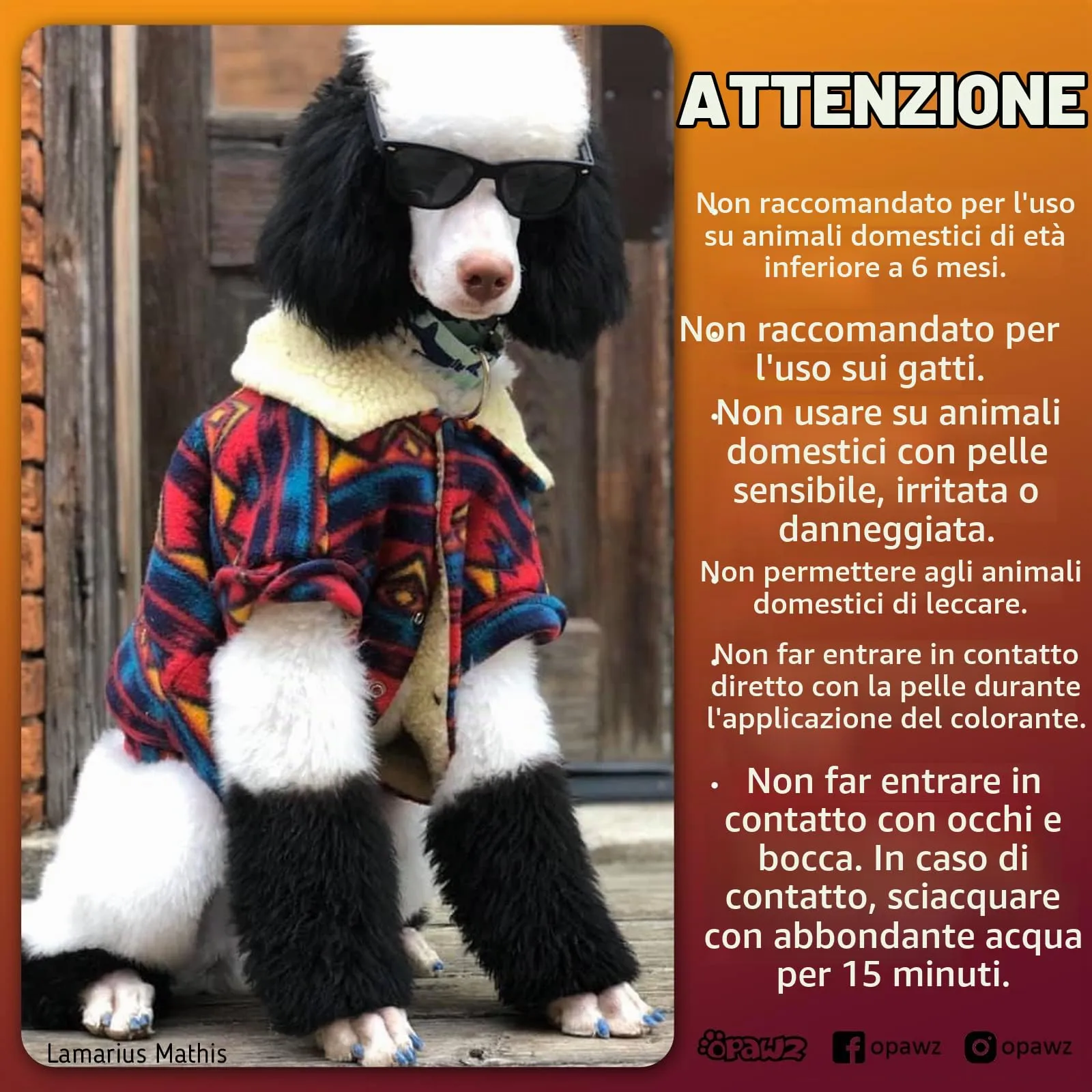 Opawz Permanente Tintura per Cani, Saloni Utilizzata Sicuro per Un Decennio Colorante per Cani, Tintura per Animali Dura Oltre 20 Lavaggi per Cani e Cavalli (Super Nero) - immagine 3