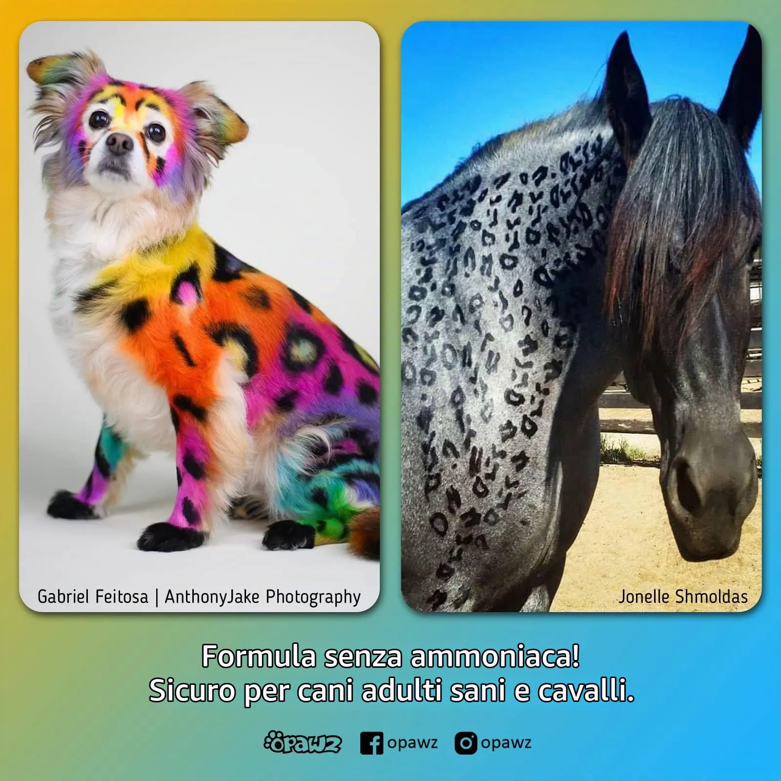 Opawz Permanente Tintura per Cani, Saloni Utilizzata Sicuro per Un Decennio Colorante per Cani, Tintura per Animali Dura Oltre 20 Lavaggi per Cani e Cavalli (Super Nero) - immagine 4