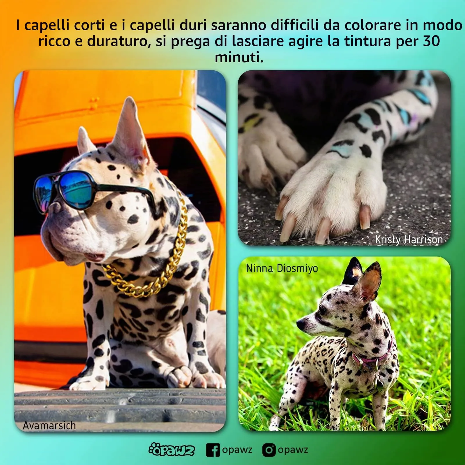 Opawz Permanente Tintura per Cani, Saloni Utilizzata Sicuro per Un Decennio Colorante per Cani, Tintura per Animali Dura Oltre 20 Lavaggi per Cani e Cavalli (Super Nero) - immagine 5