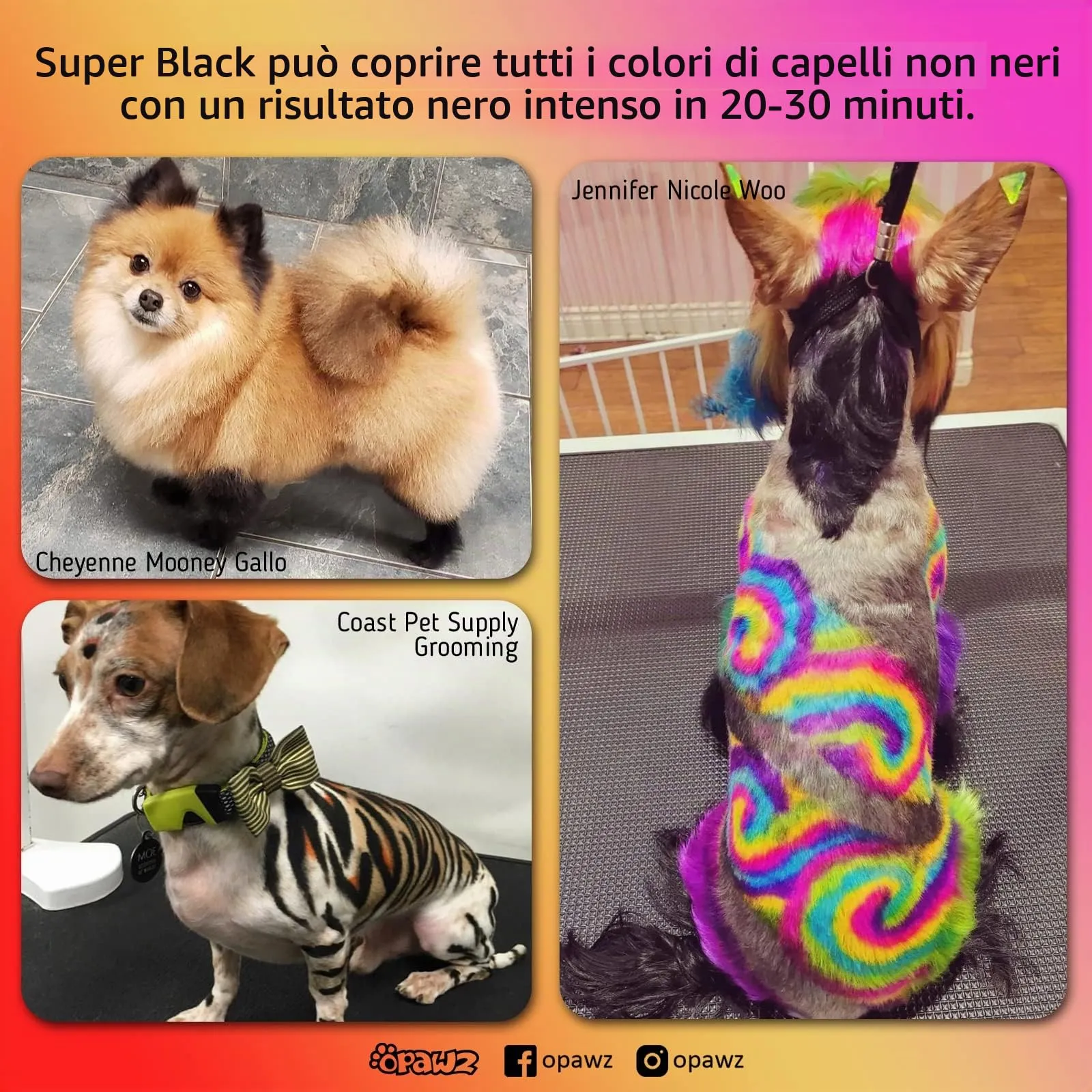 Opawz Permanente Tintura per Cani, Saloni Utilizzata Sicuro per Un Decennio Colorante per Cani, Tintura per Animali Dura Oltre 20 Lavaggi per Cani e Cavalli (Super Nero) - immagine 6