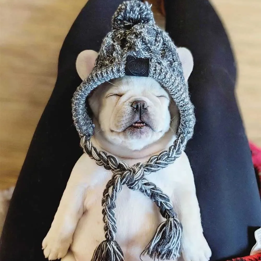FainFun Berretto invernale per cani – Cappello lavorato a maglia caldo e soffice con treccia lunga - Grigio (M) - immagine 3