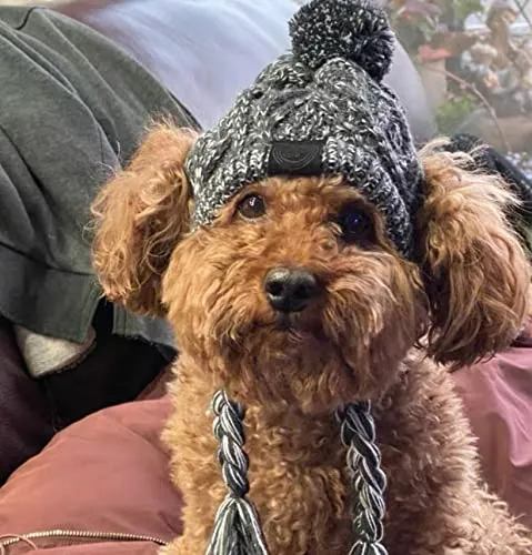 FainFun Cappello Antivento per Cani in Maglia Grigia, Copricapo Con Lunga Treccia per Animali Domestici, Berretto Invernale Lavorato (S) - immagine 6