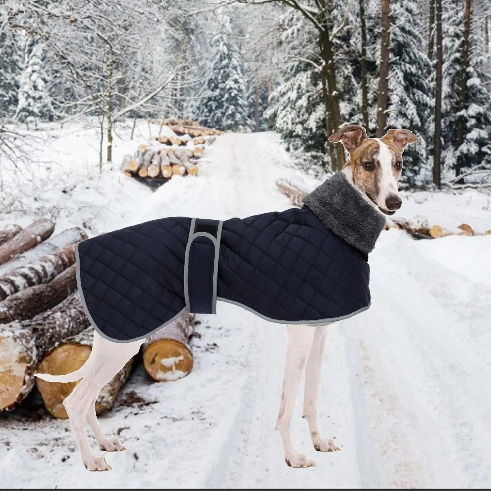 Geyecete Cappotto Levrieri Impermeabile,Invernale Cappotto Cane con fodera in fleece,Calda Giacca Whippet,Cappotto Whippet,Pullover per Cane con Foro per Imbracatura-Blu-XL - immagine 6