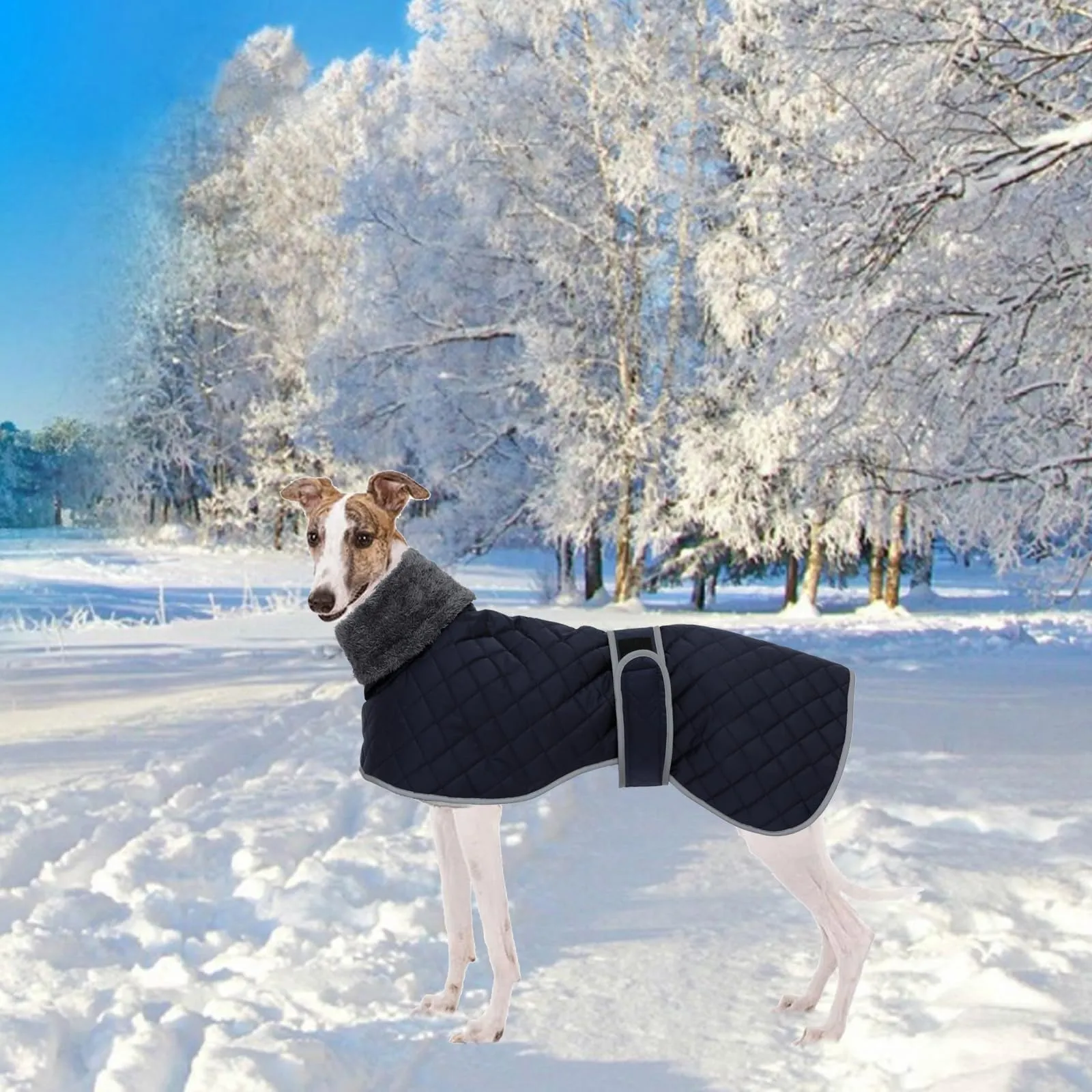 Geyecete Cappotto Levrieri Impermeabile,Invernale Cappotto Cane con fodera in fleece,Calda Giacca Whippet,Cappotto Whippet,Pullover per Cane con Foro per Imbracatura-Blu-XL - immagine 7
