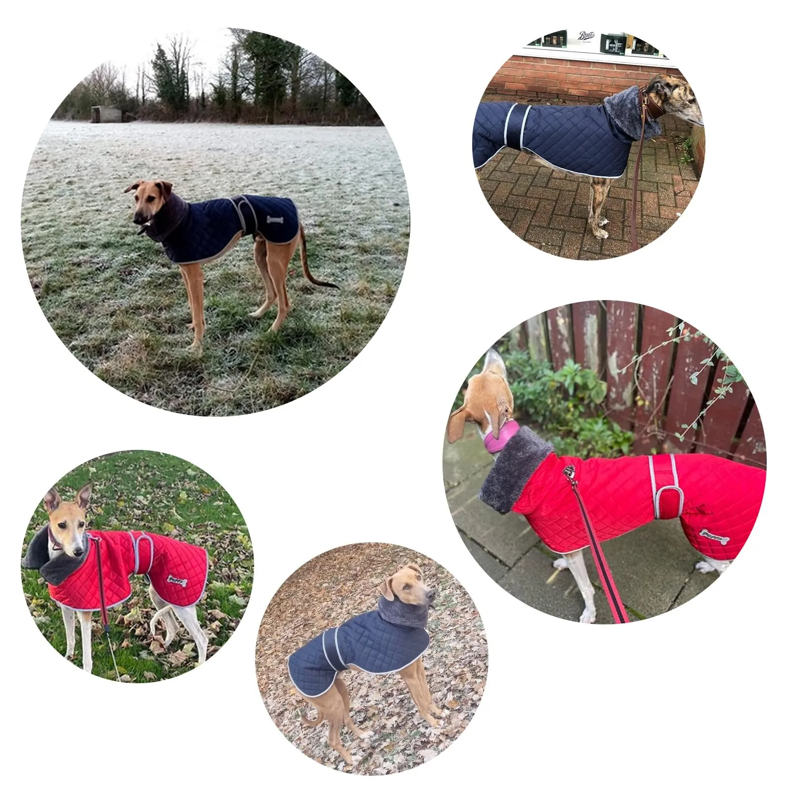 Geyecete Cappotto Levrieri Impermeabile,Invernale Cappotto Cane con fodera in fleece,Calda Giacca Whippet,Cappotto Whippet,Pullover per Cane con Foro per Imbracatura-Rosso-S - immagine 5