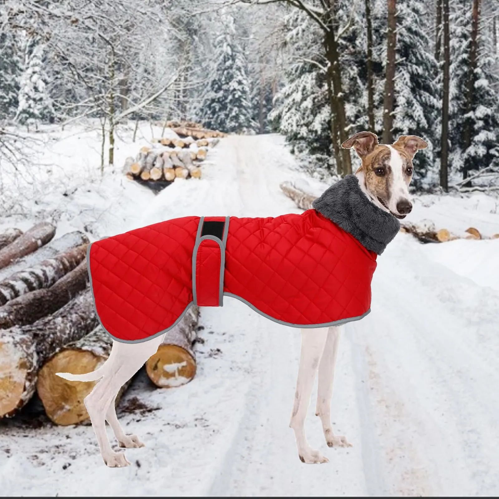 Geyecete Cappotto Levrieri Impermeabile,Invernale Cappotto Cane con fodera in fleece,Calda Giacca Whippet,Cappotto Whippet,Pullover per Cane con Foro per Imbracatura-Rosso-S - immagine 6