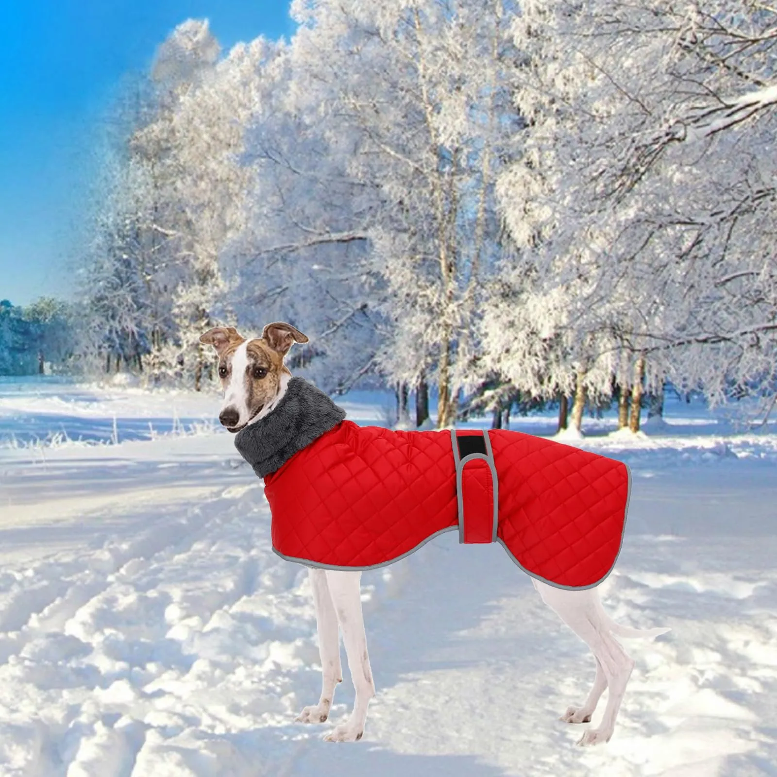 Geyecete Cappotto Levrieri Impermeabile,Invernale Cappotto Cane con fodera in fleece,Calda Giacca Whippet,Cappotto Whippet,Pullover per Cane con Foro per Imbracatura-Rosso-XXL - immagine 7