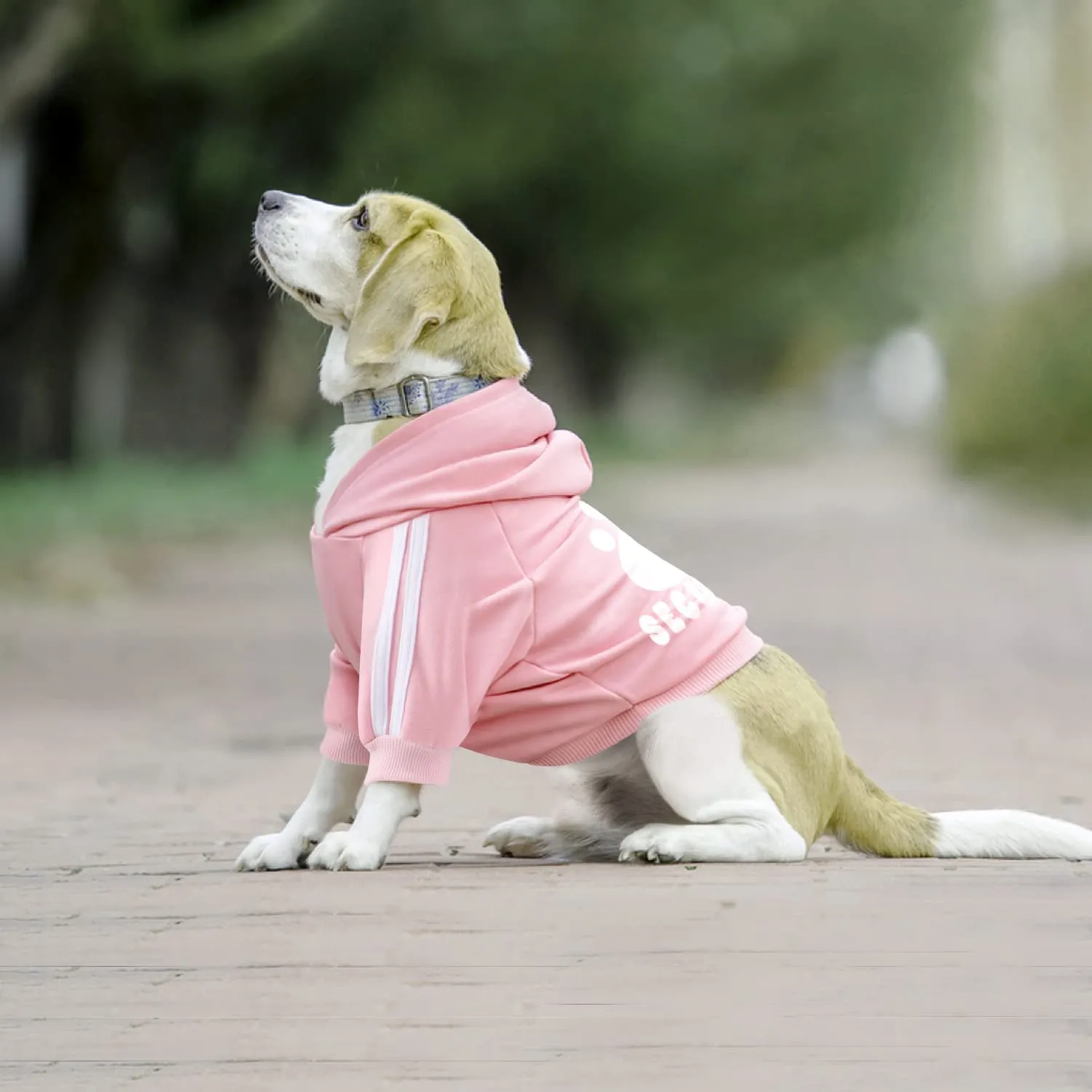 Dolahovy Felpa con cappuccio per cani Abbigliamento per animali domestici Morbida Maglia per cani Maglioni Costumi autunno inverno per cani di piccola taglia Gatti Chihuahua Teddy - immagine 3