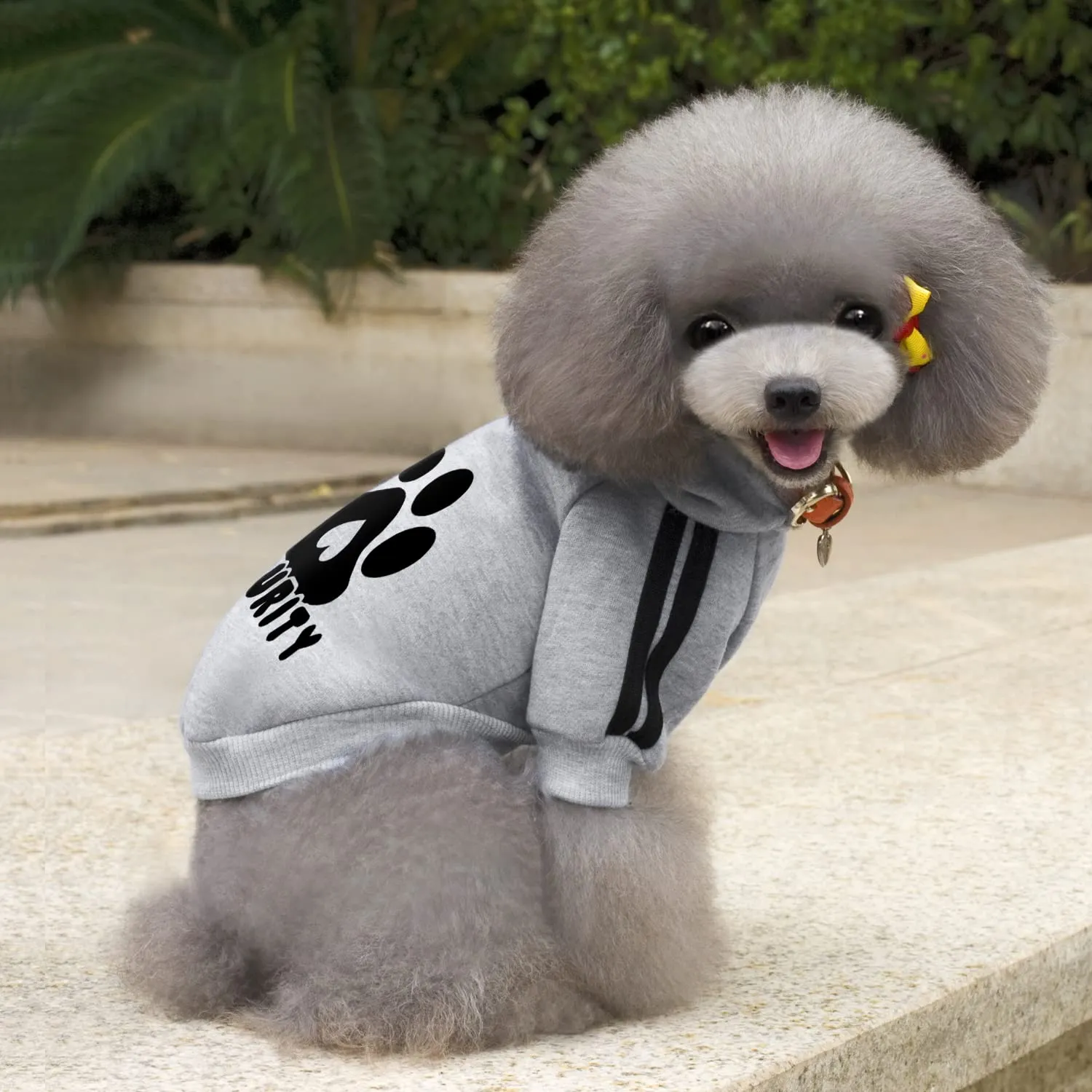 Dolahovy Felpa con cappuccio per cani Abbigliamento per animali domestici Morbida Maglia per cani Maglioni Costumi autunno inverno per cani di piccola taglia Gatti Chihuahua Teddy - immagine 3