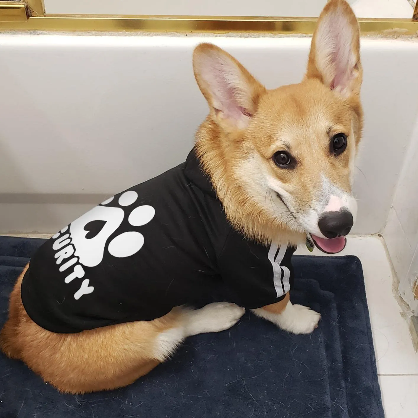 Dolahovy Felpa con cappuccio per cani Abbigliamento per animali domestici Morbida Maglia per cani Maglioni Costumi autunno inverno per cani di piccola taglia Gatti Chihuahua Teddy - immagine 6