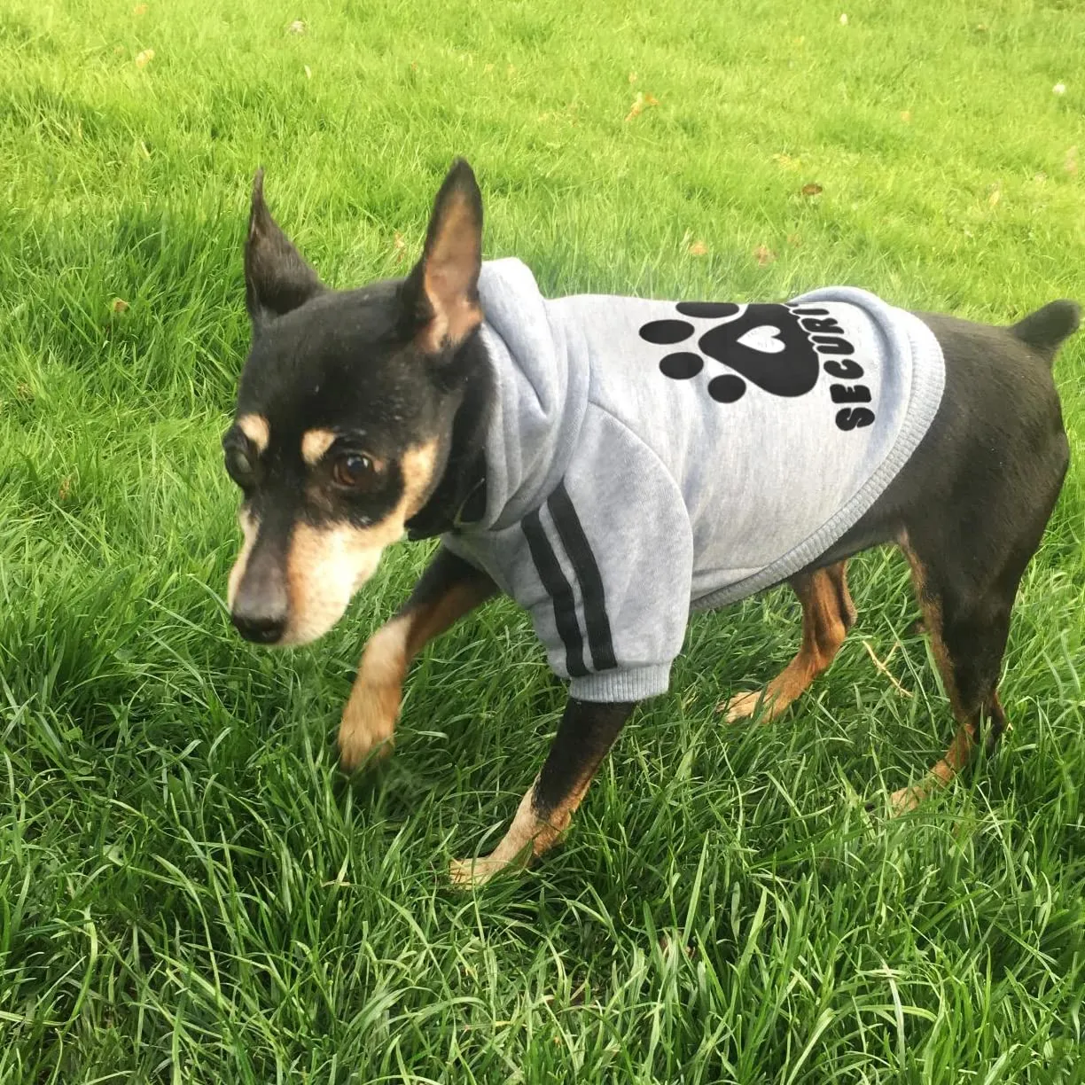 Dolahovy Felpa con cappuccio per cani Abbigliamento per animali domestici Morbida Maglia per cani Maglioni Costumi autunno inverno per cani di piccola taglia Gatti Chihuahua Teddy - immagine 6