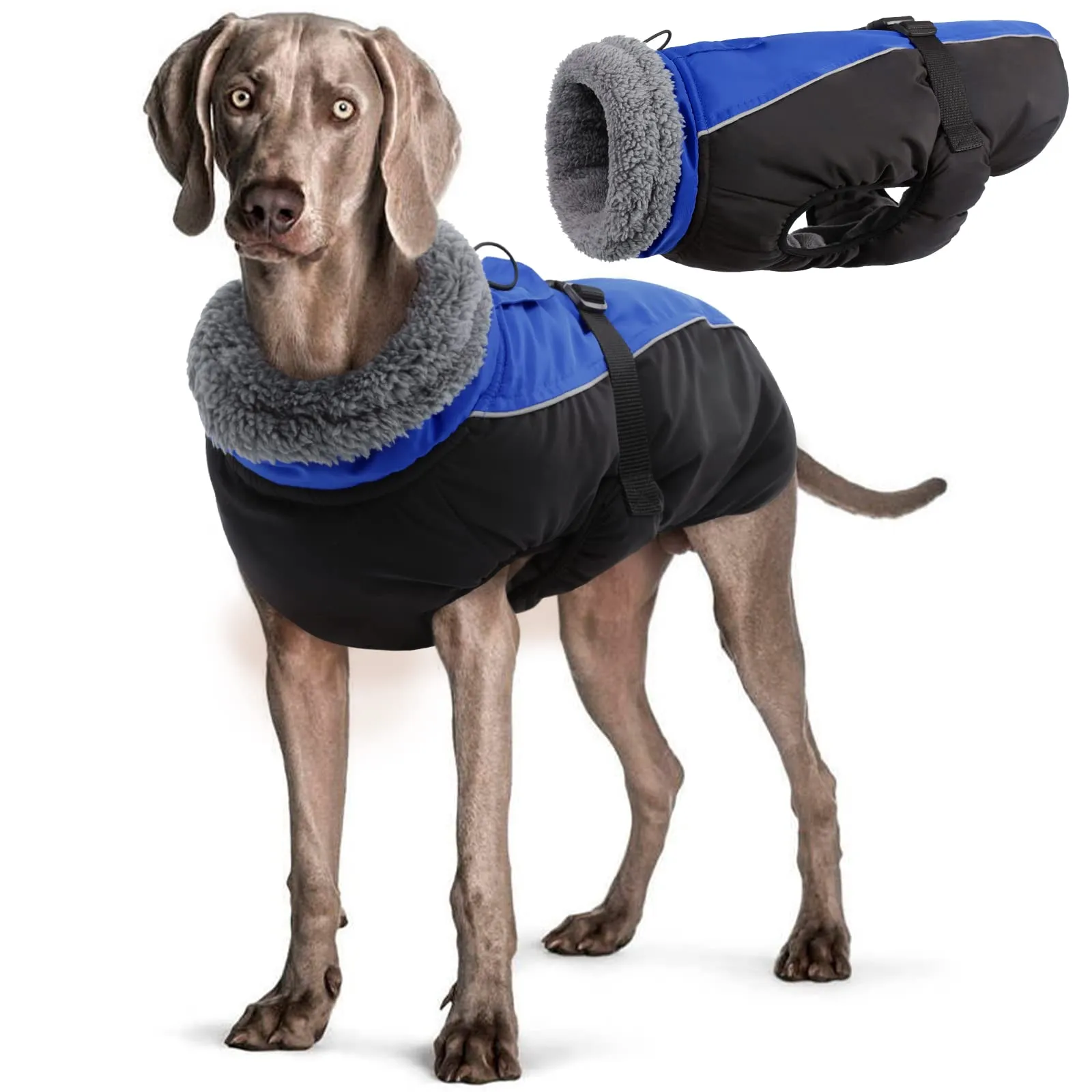 Hjyokuso Cappotto per Cani Impermeabile - Giacca Invernale Calda Antivento, Abbigliamento Completo per Cani di Taglia Piccola e Media Con Striscia Riflettente - immagine 1
