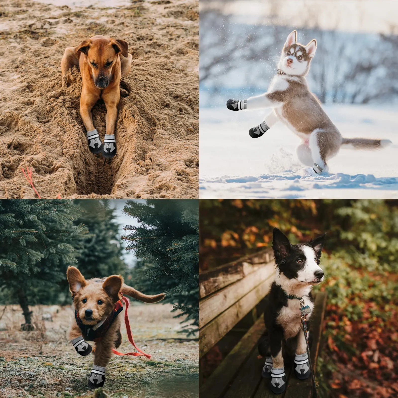 NeuWee scarpe per cani, Set di 4 Stivali per cani impermeabili con cinturini riflettenti, antiscivolo Protezioni per zampe da esterno Scarpe per cani di taglia piccola, media e Grande(XXL, Grigio) - immagine 6
