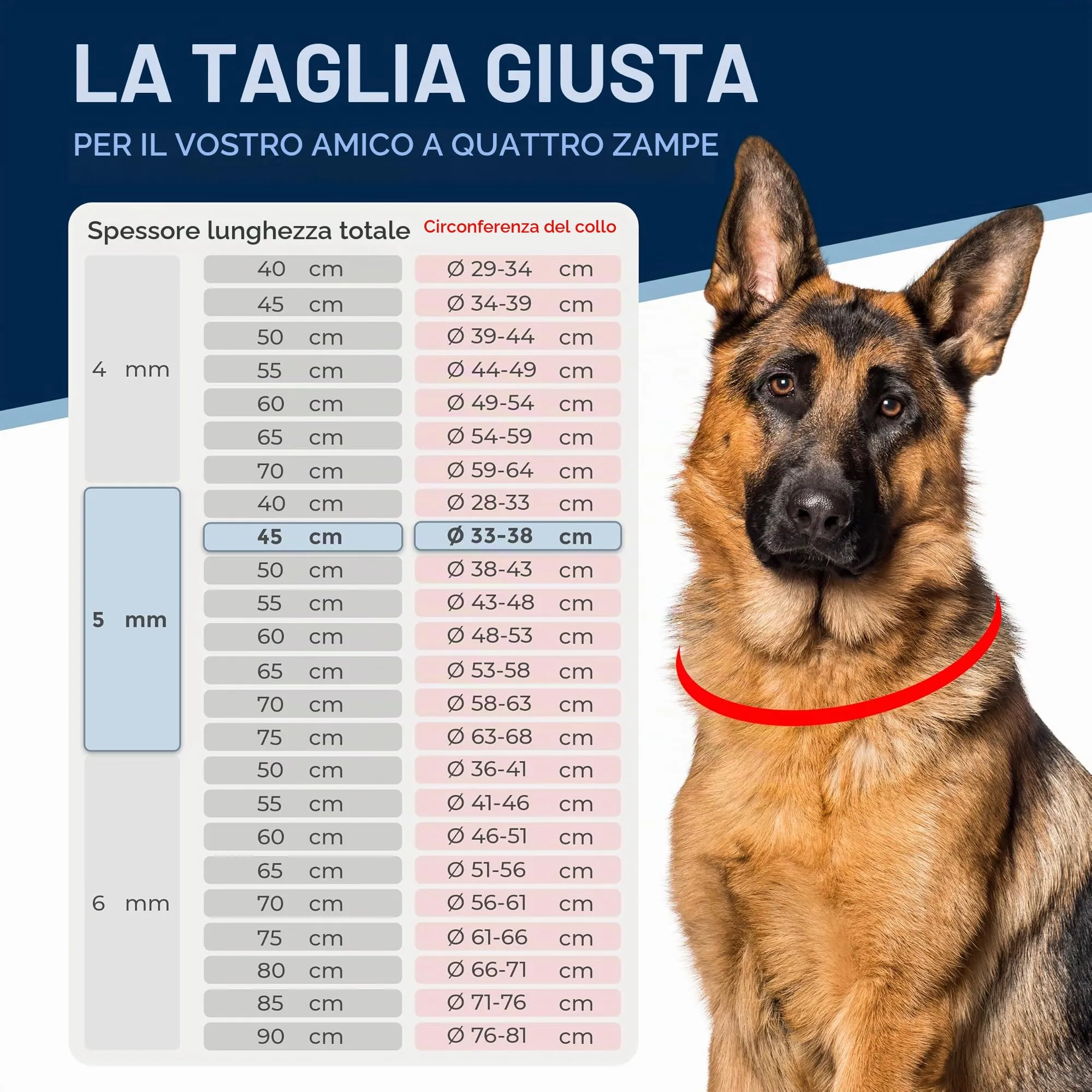 Collare cane acciaio inox A4 V4A Ø5 mm – lunghezza totale 65 cm – con moschettone – maglia corta per controllo preciso – per circonferenza collo 53–58 cm - immagine 2