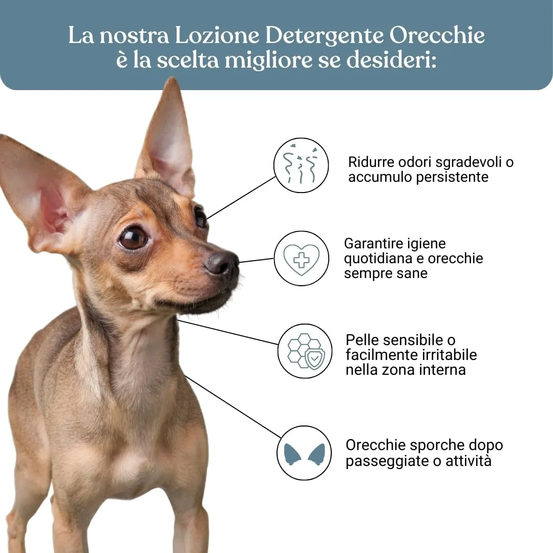 Bau Pulizia Orecchie Cane Delicata con Aloe Vera, Camomilla e Calendula – Detergente Orecchie Cane Rimuove Cerume e Impurità – Riduce Pruriti e Cattivi Odori - immagine 3